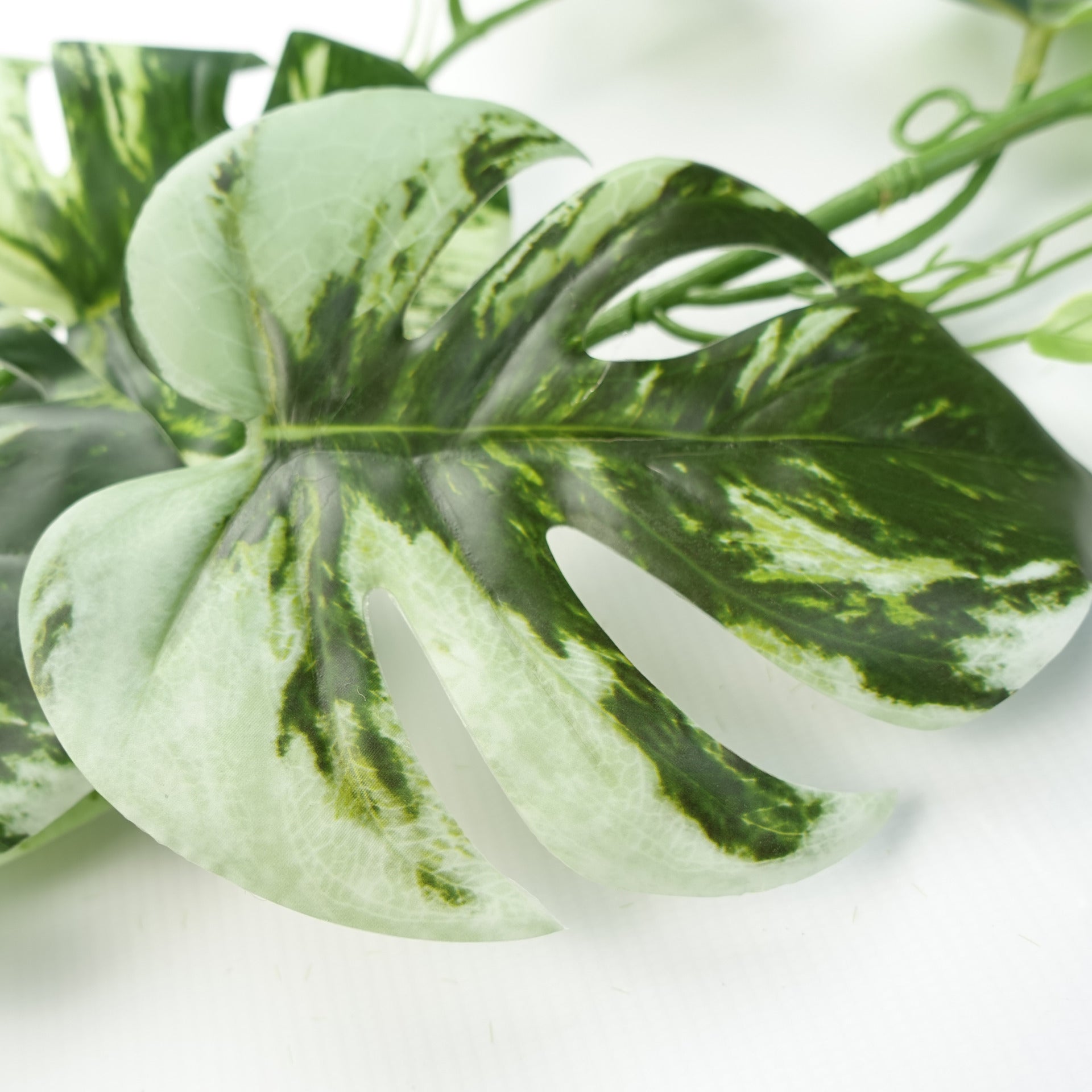 180cm Artificial Hanging Trailing Variegated Monstera Plant