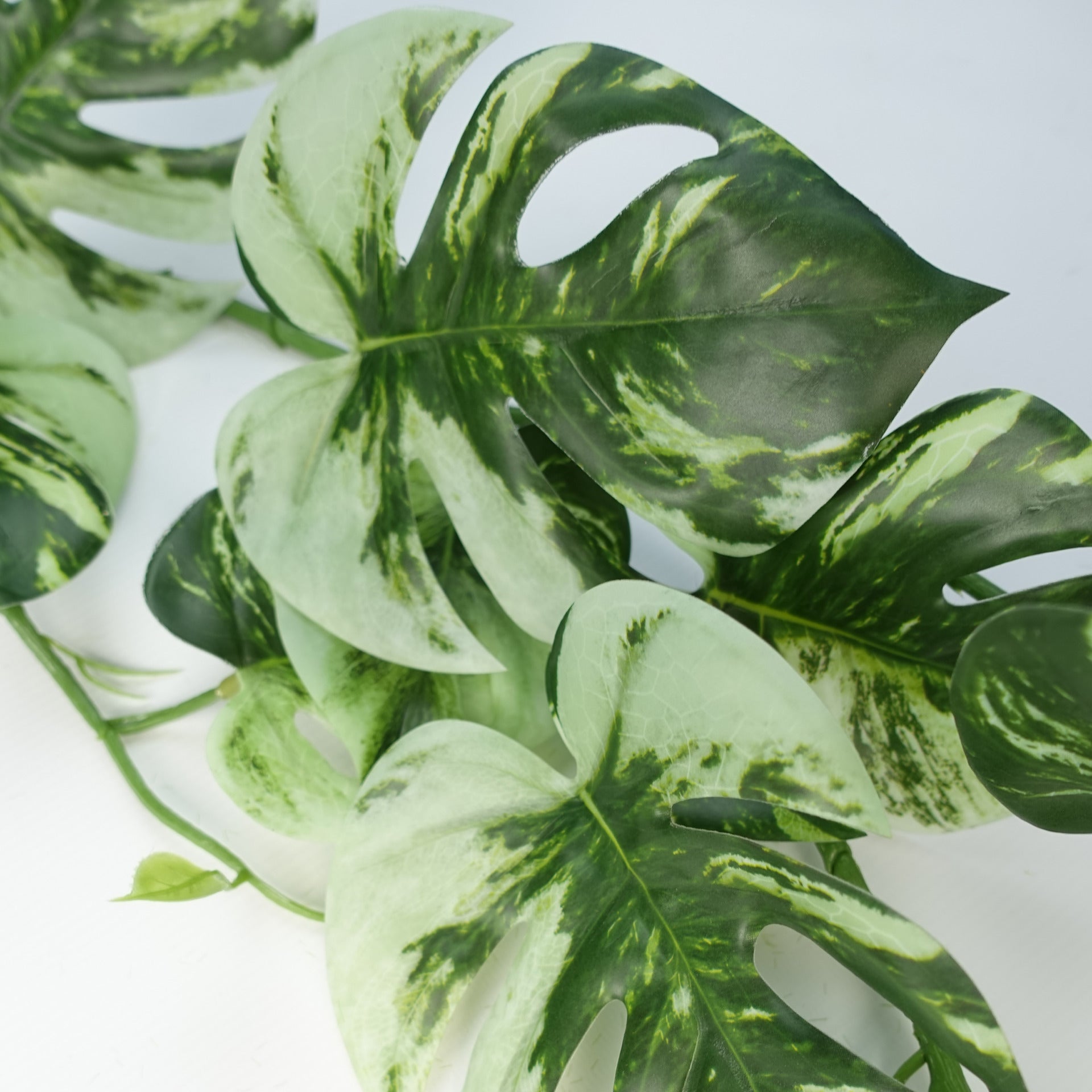 180cm Artificial Hanging Trailing Variegated Monstera Plant