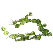 180cm Artificial Hanging Trailing Devil's Ivy Plant