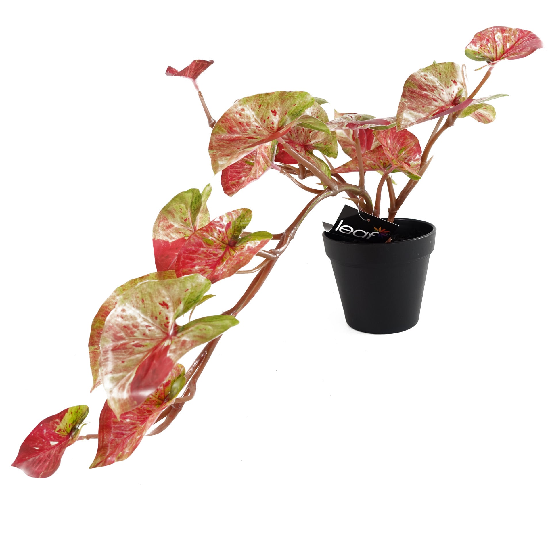 35cm Künstliche Hängepflanze Caladium Pink Splash