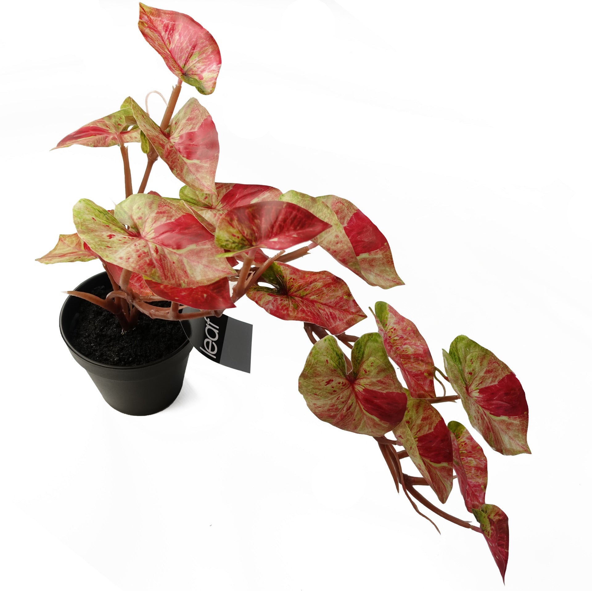 35cm Künstliche Hängepflanze Caladium Pink Splash