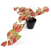 35cm Künstliche Hängepflanze Caladium Pink Splash