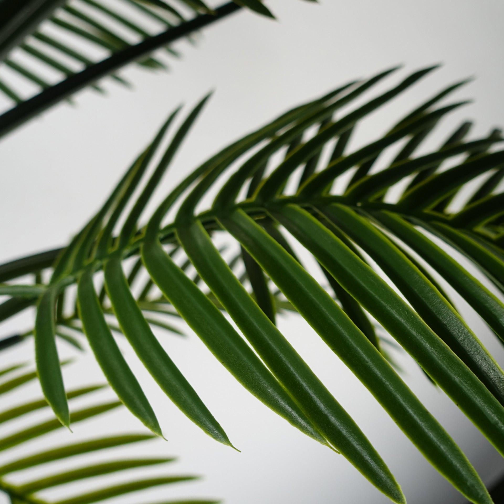 125cm UV Resistant Raphis Palm Tree with Natural Trunk