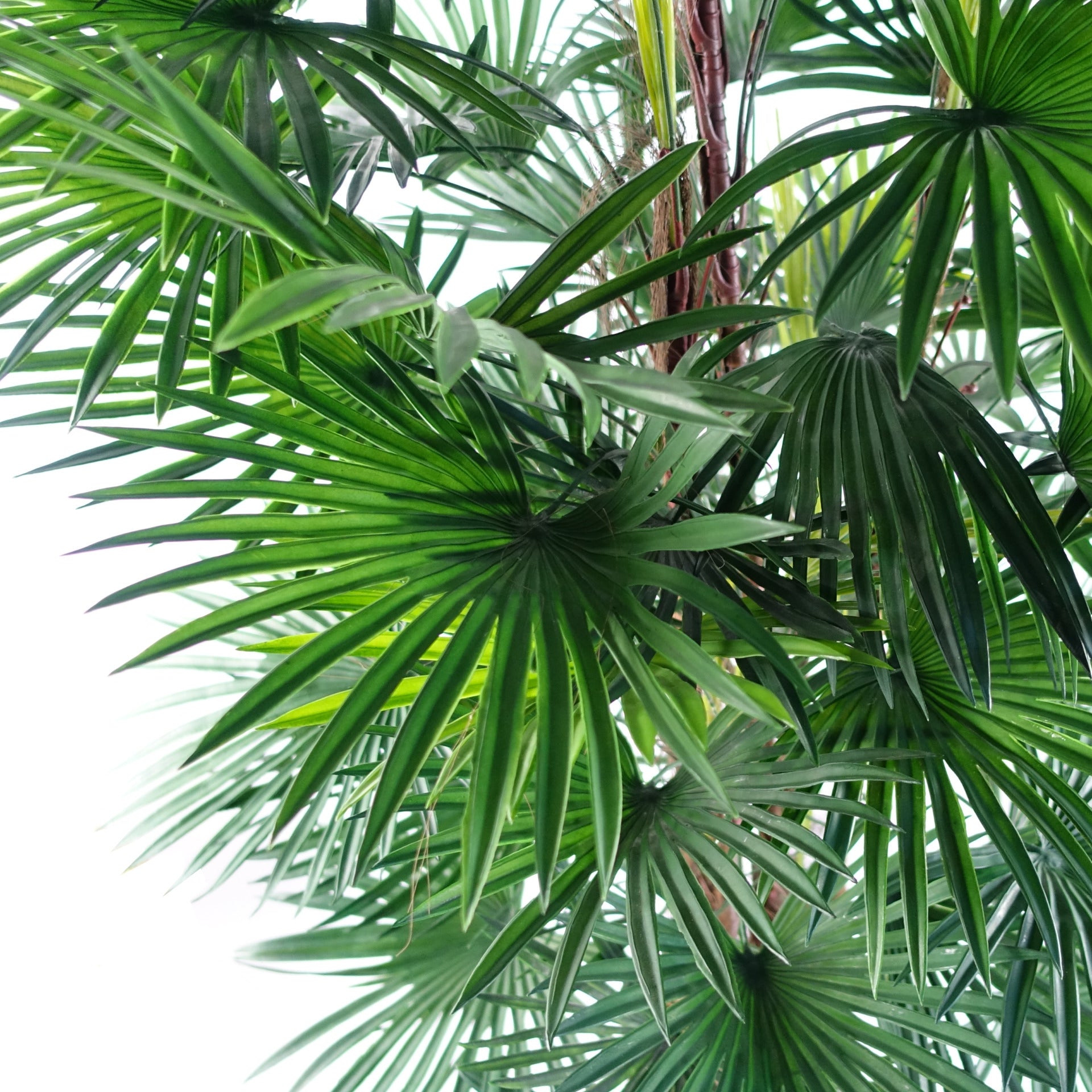 120cm Fan Palm Artificial Tree
