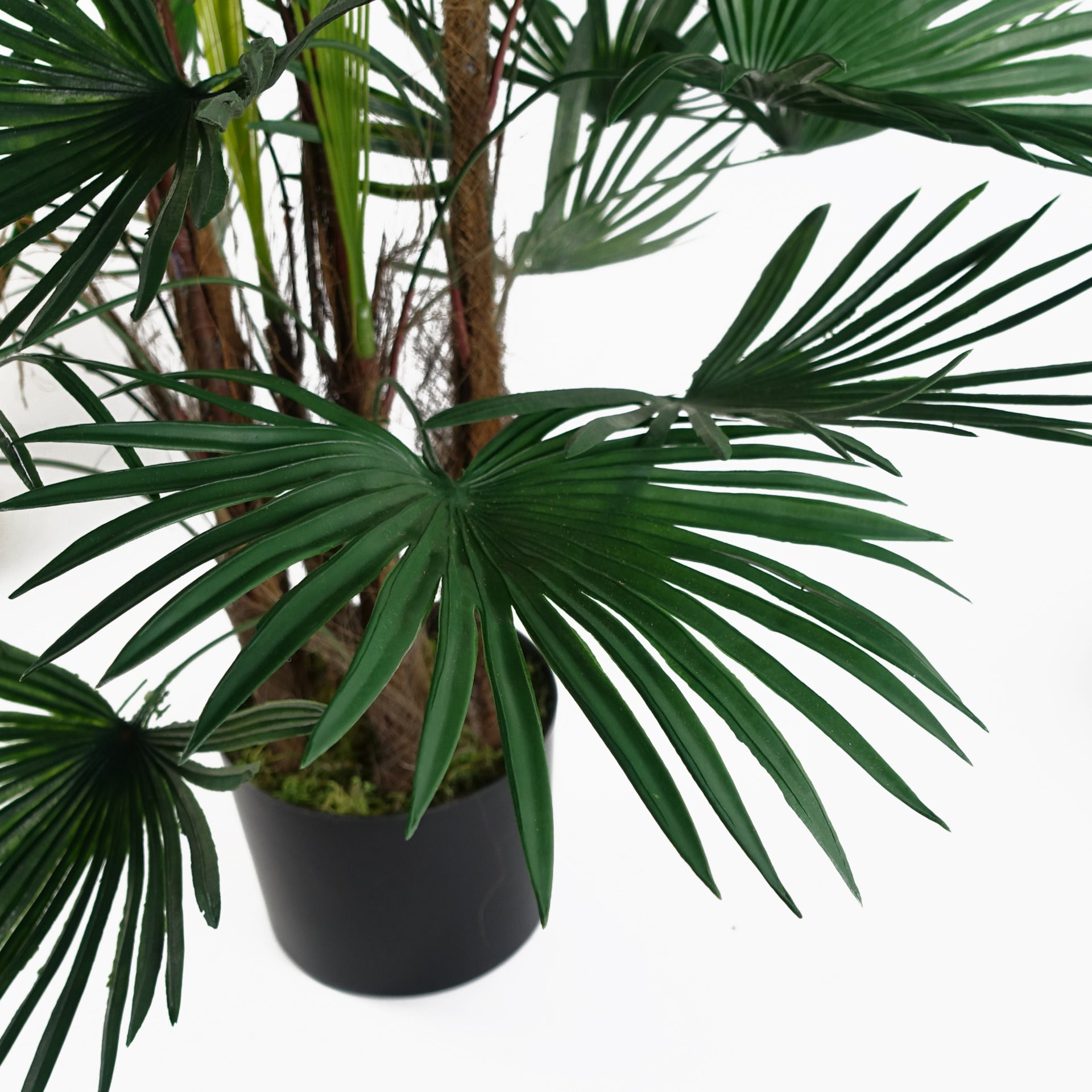 120cm Fan Palm Artificial Tree