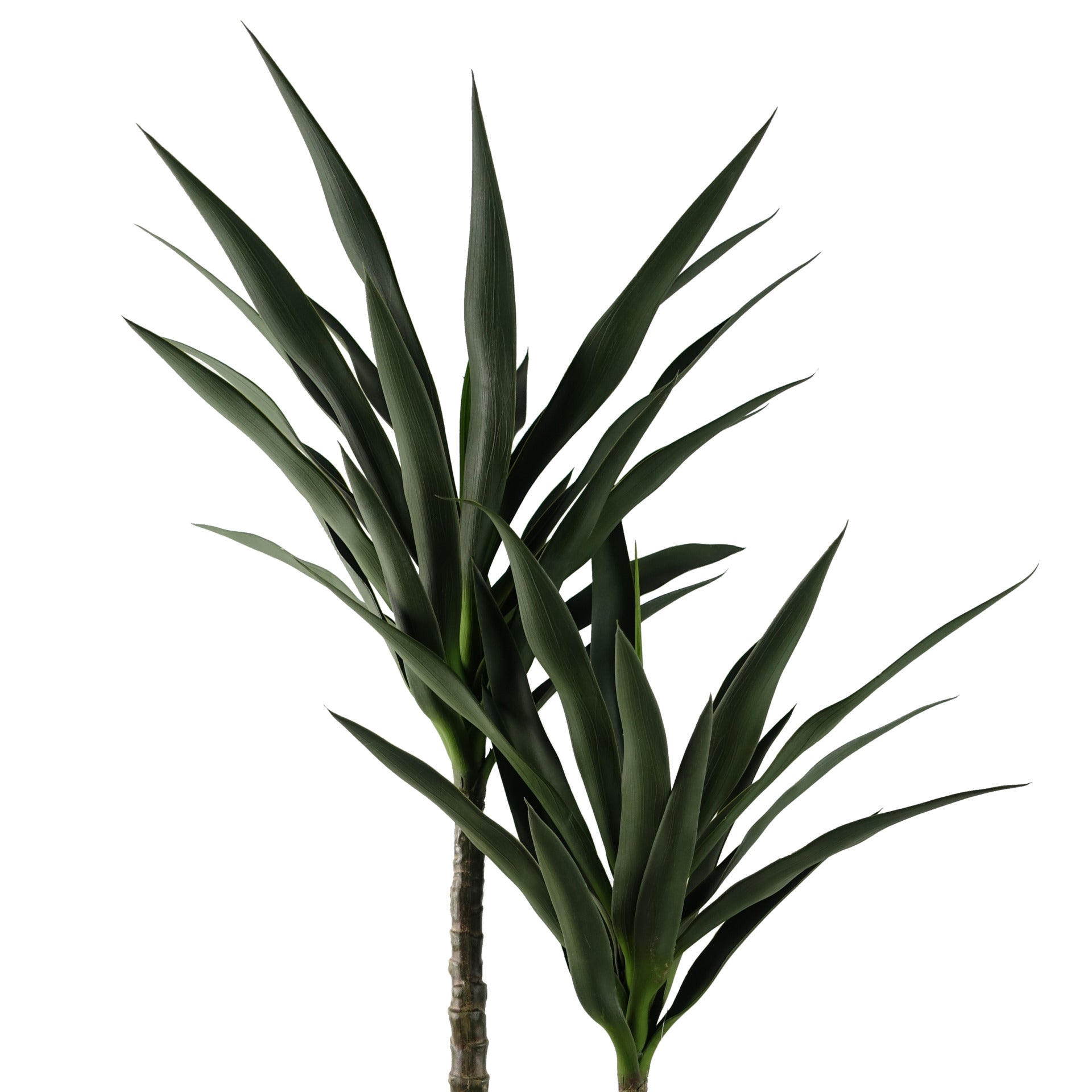 120cm Yucca Tree UV Resistant Outdoor