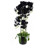 110cm Large Black Orchid Plant - Artificial - 41 REAL TOUCH flowers