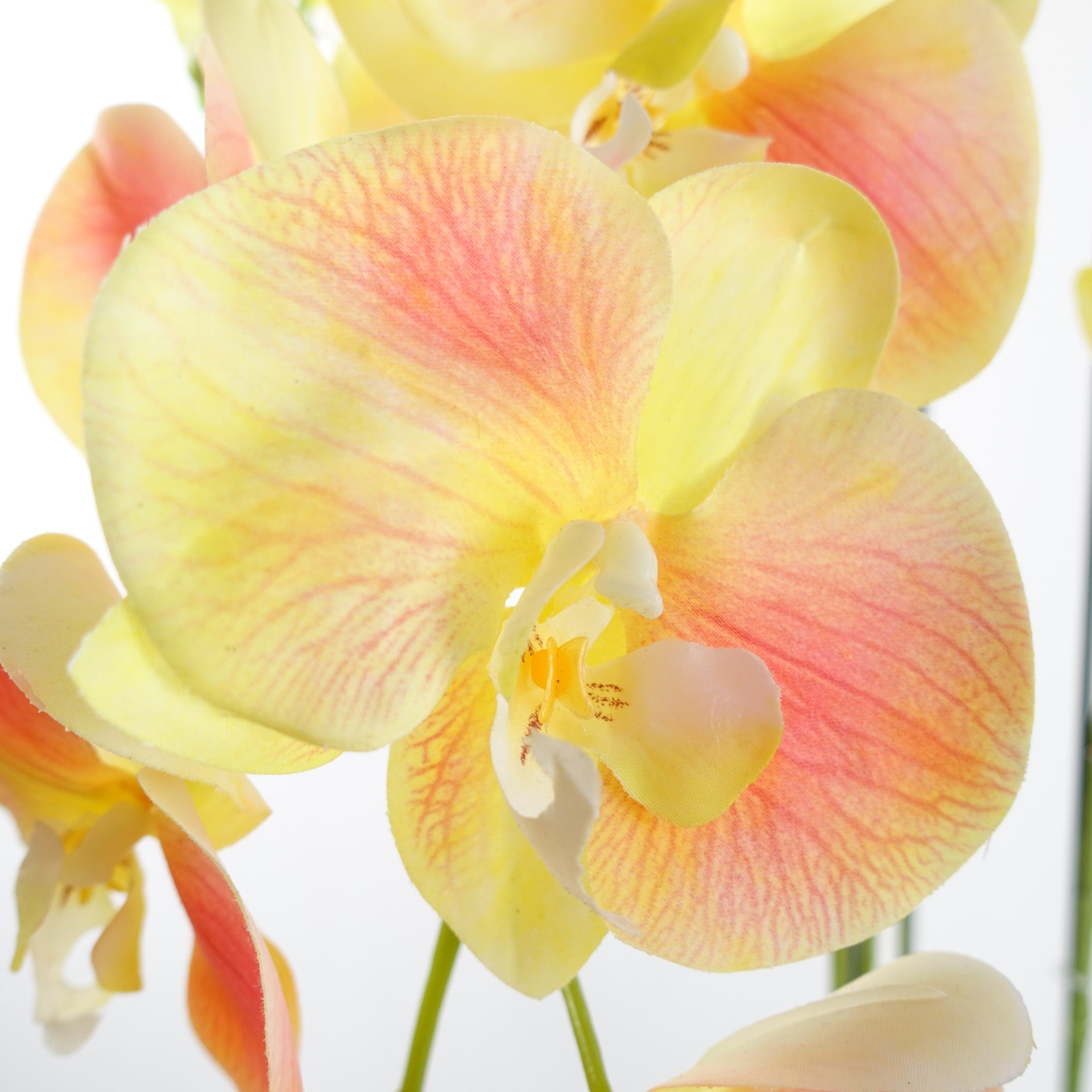 110cm Large Yellow Peach Orchid Plant - Artifcial - 41 REAL TOUCH flowers