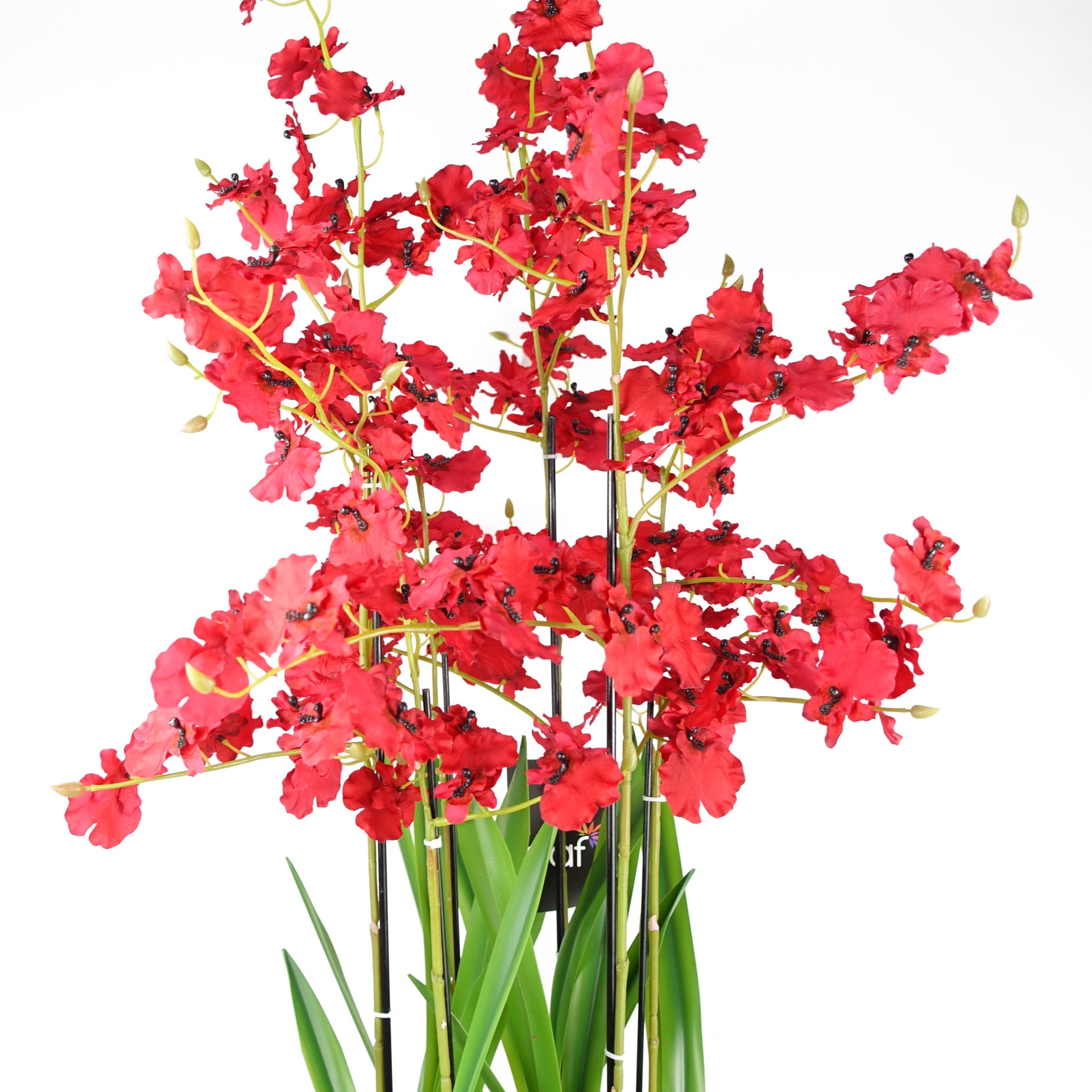 90cm Oncidium Artificial Orchid Red in Stoneware Planter
