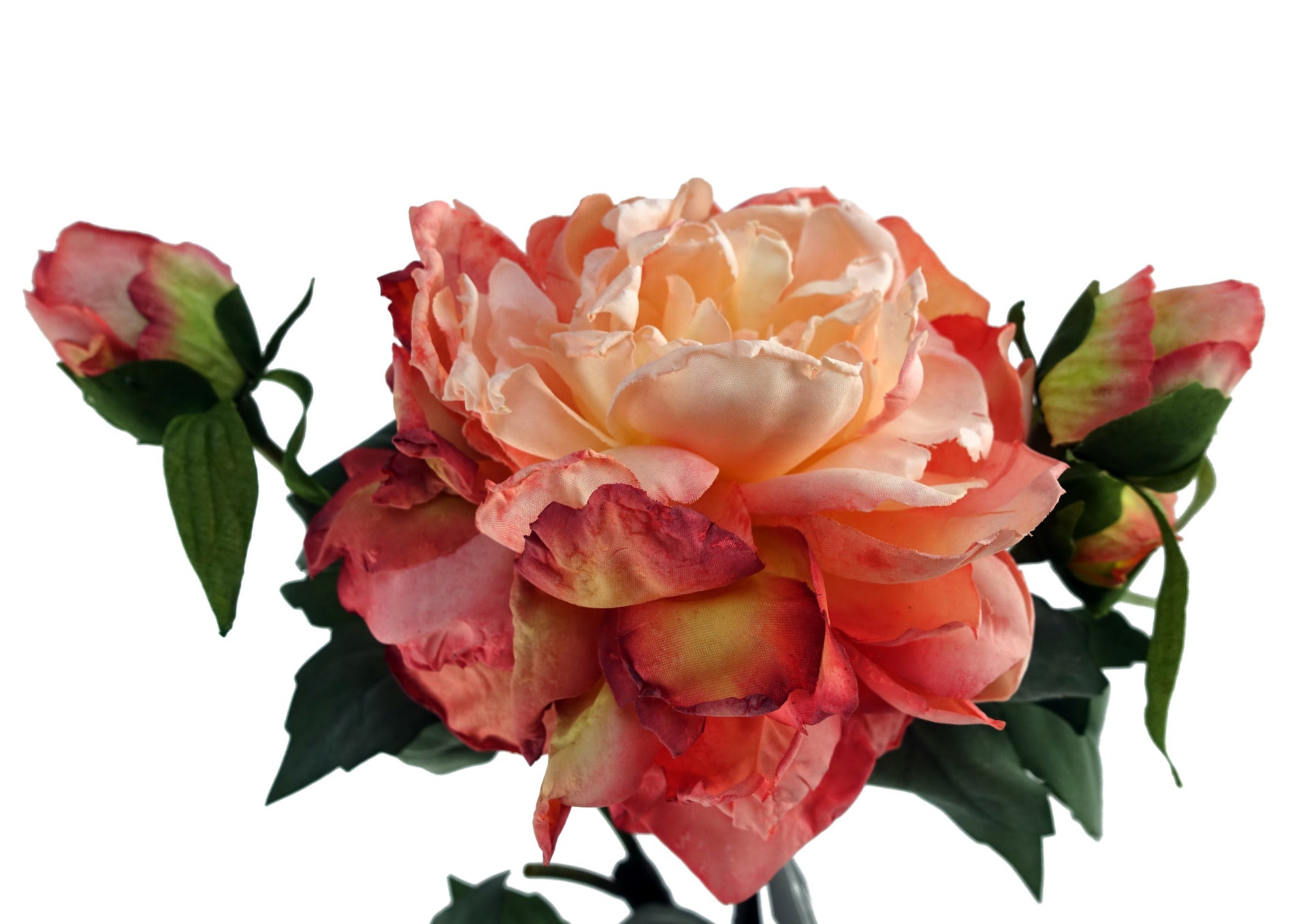 60cm Peony Artificial Flower Stems