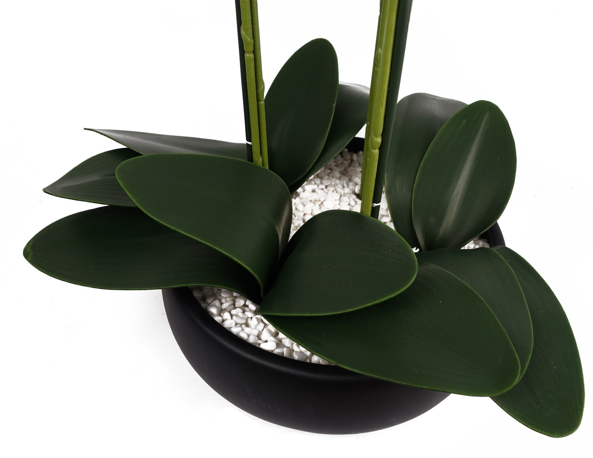 60cm Orchid Artificial White - Black Ceramic Planter