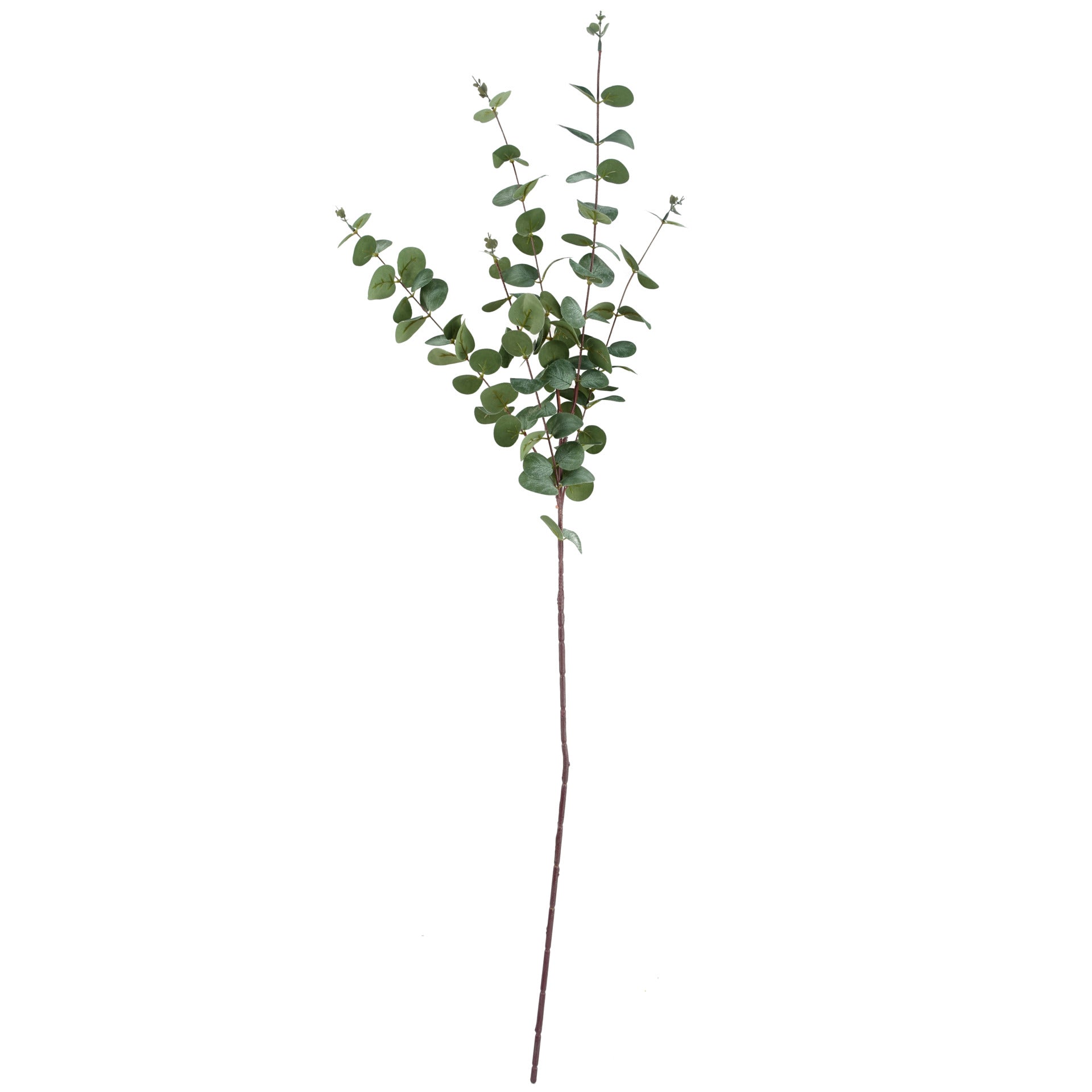 Faux Artificial Eucalyptus Foliage Stems