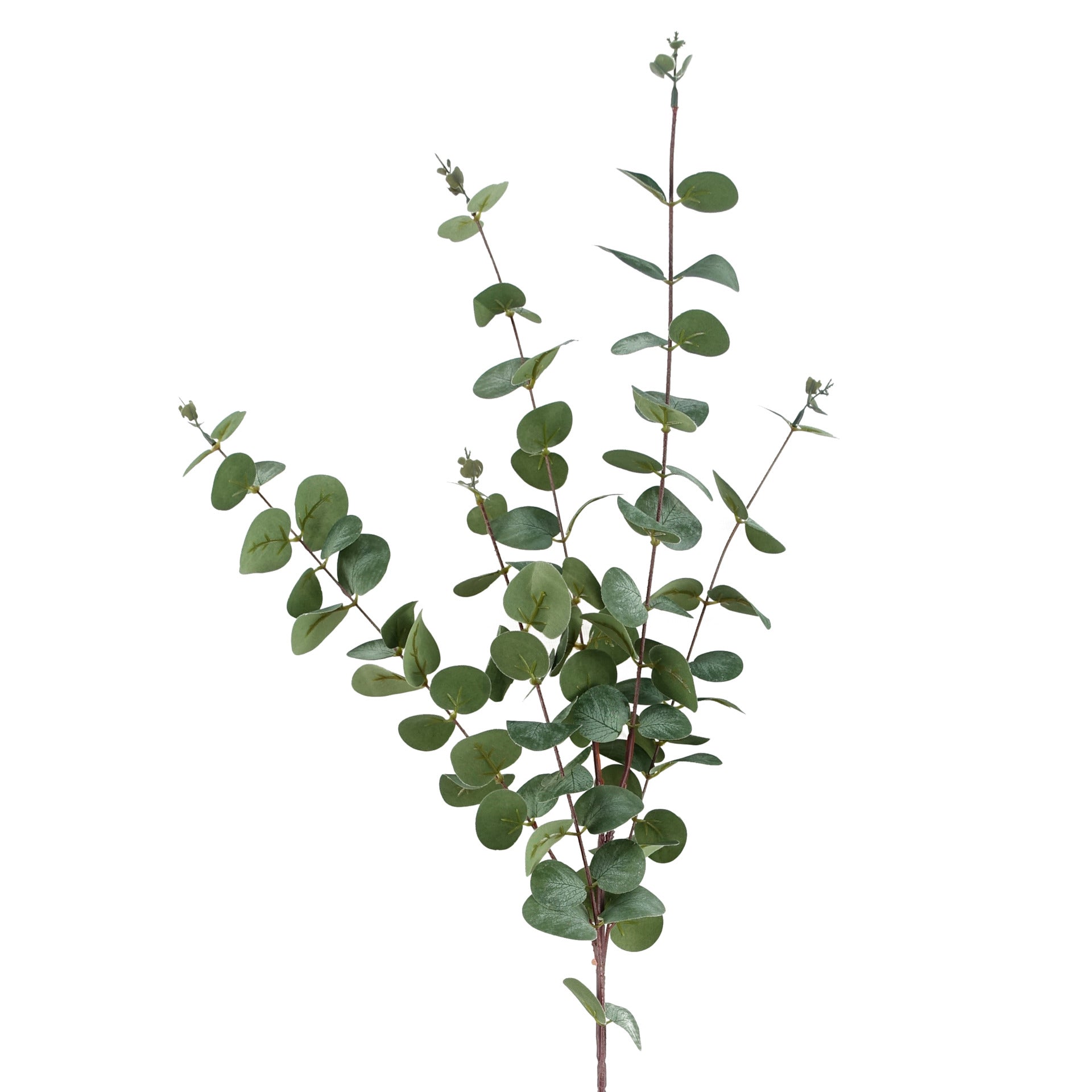 Faux Artificial Eucalyptus Foliage Stems
