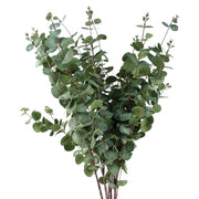 Faux Artificial Eucalyptus Foliage Stems