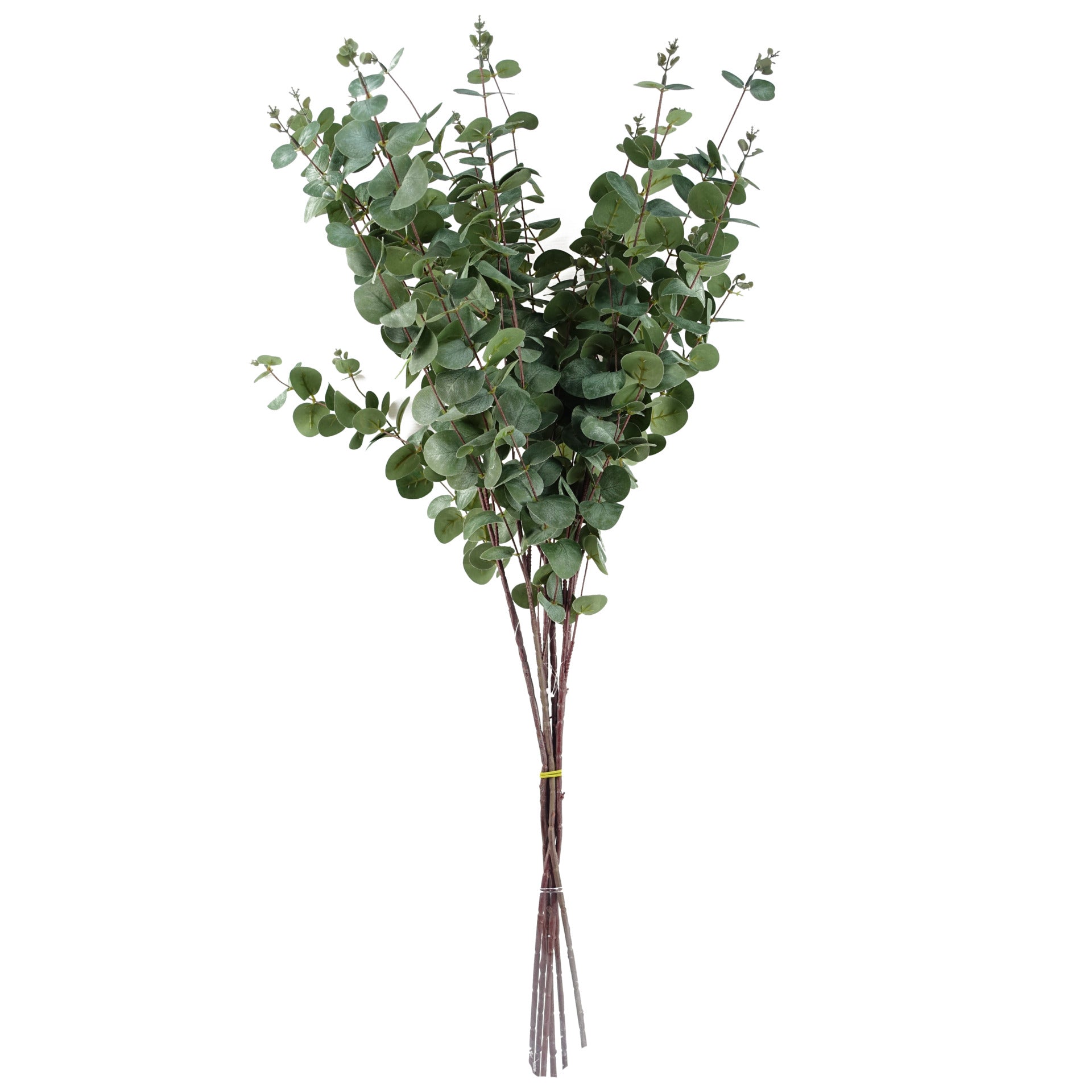Faux Artificial Eucalyptus Foliage Stems