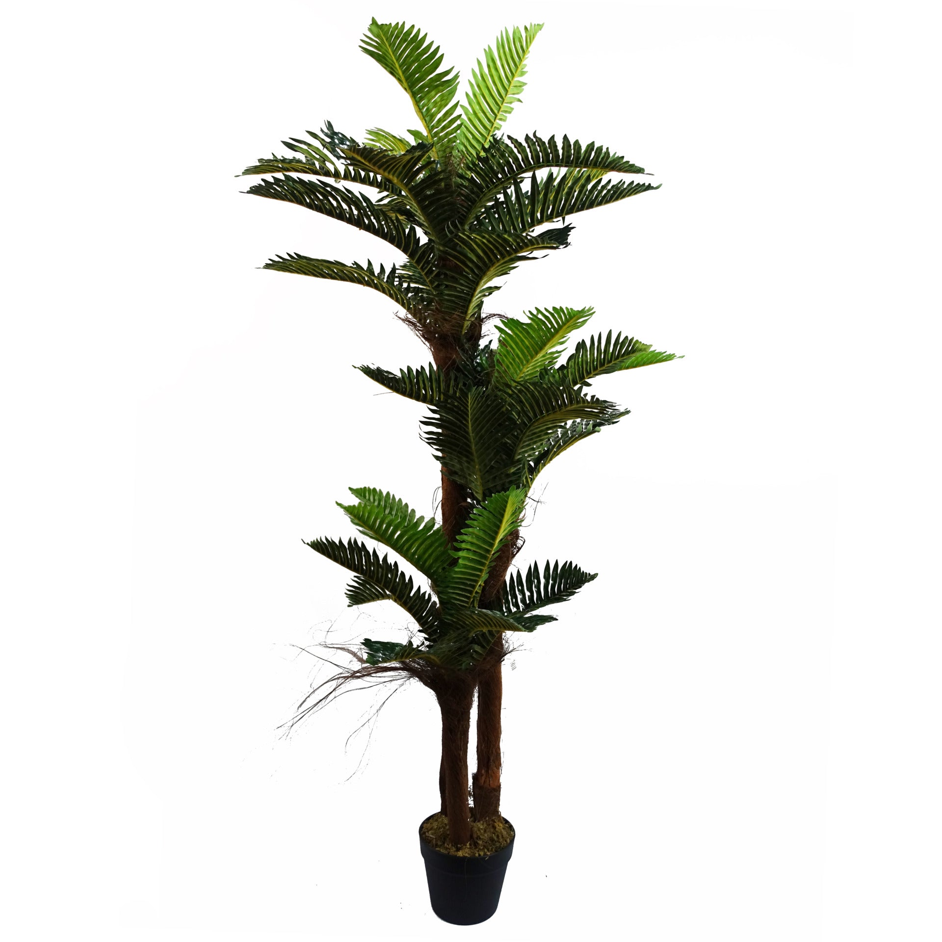 150cm Artificial Large Palm Tree with Natural Trunk | Leaf – Leaf ...