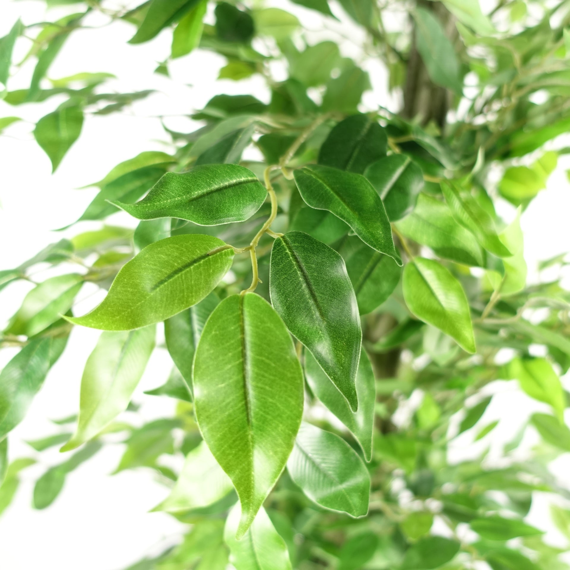 180cm Artificial Ficus Tree Green Realistic