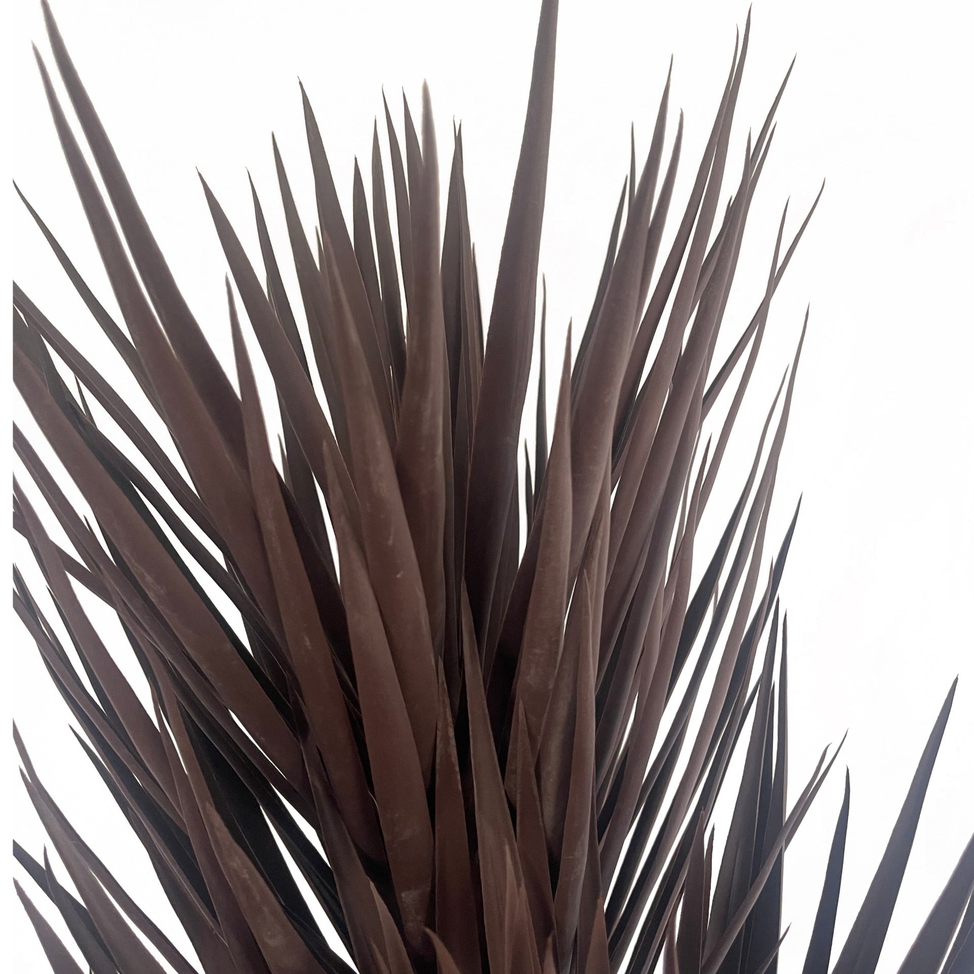 155cm Artificial UV Resistant XL Triple Yucca Tree Plant Spiky Tree Triple Dark