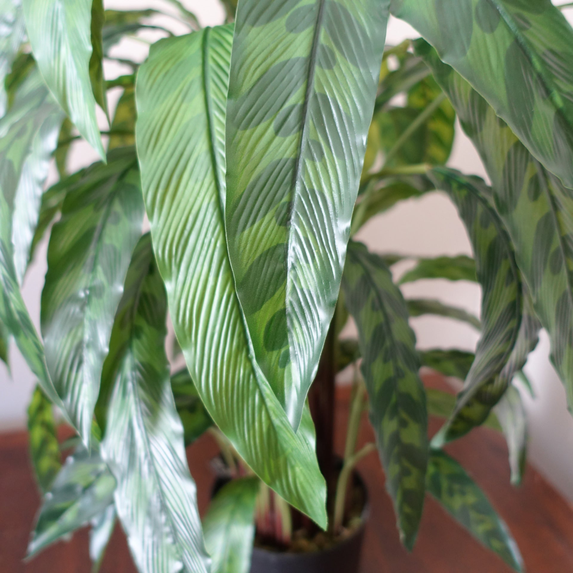 90cm Kunstpflanze Bunte Calathea
