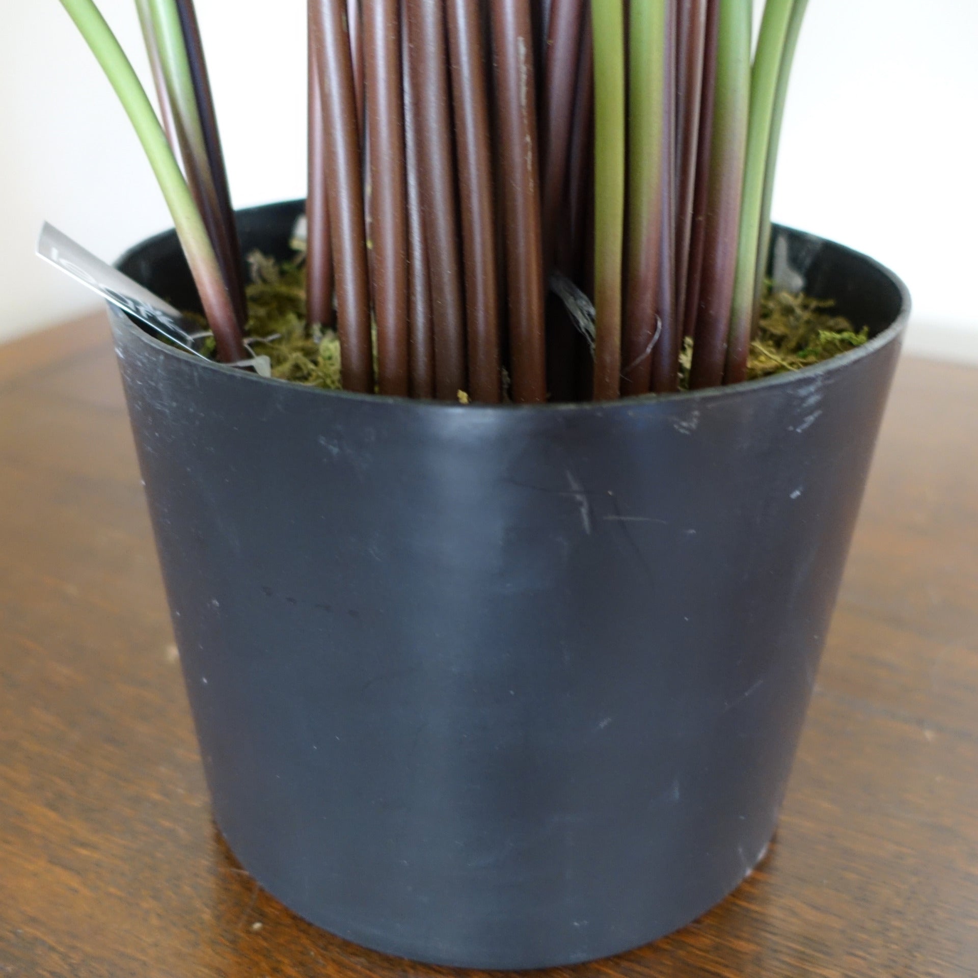 60cm Variegated Artificial Calathea Plant