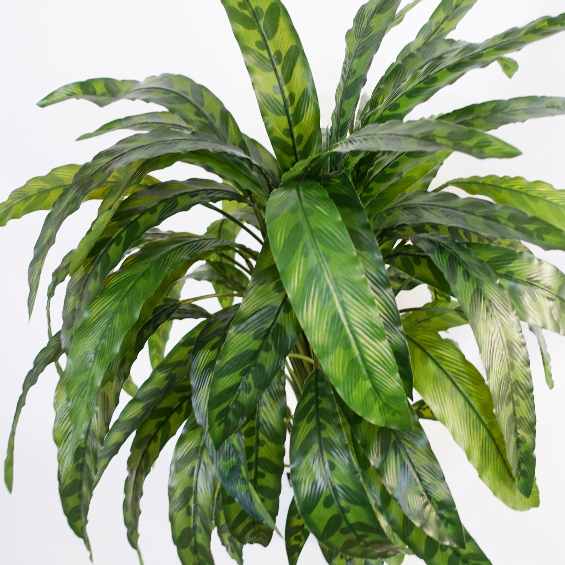 90cm Kunstpflanze Bunte Calathea