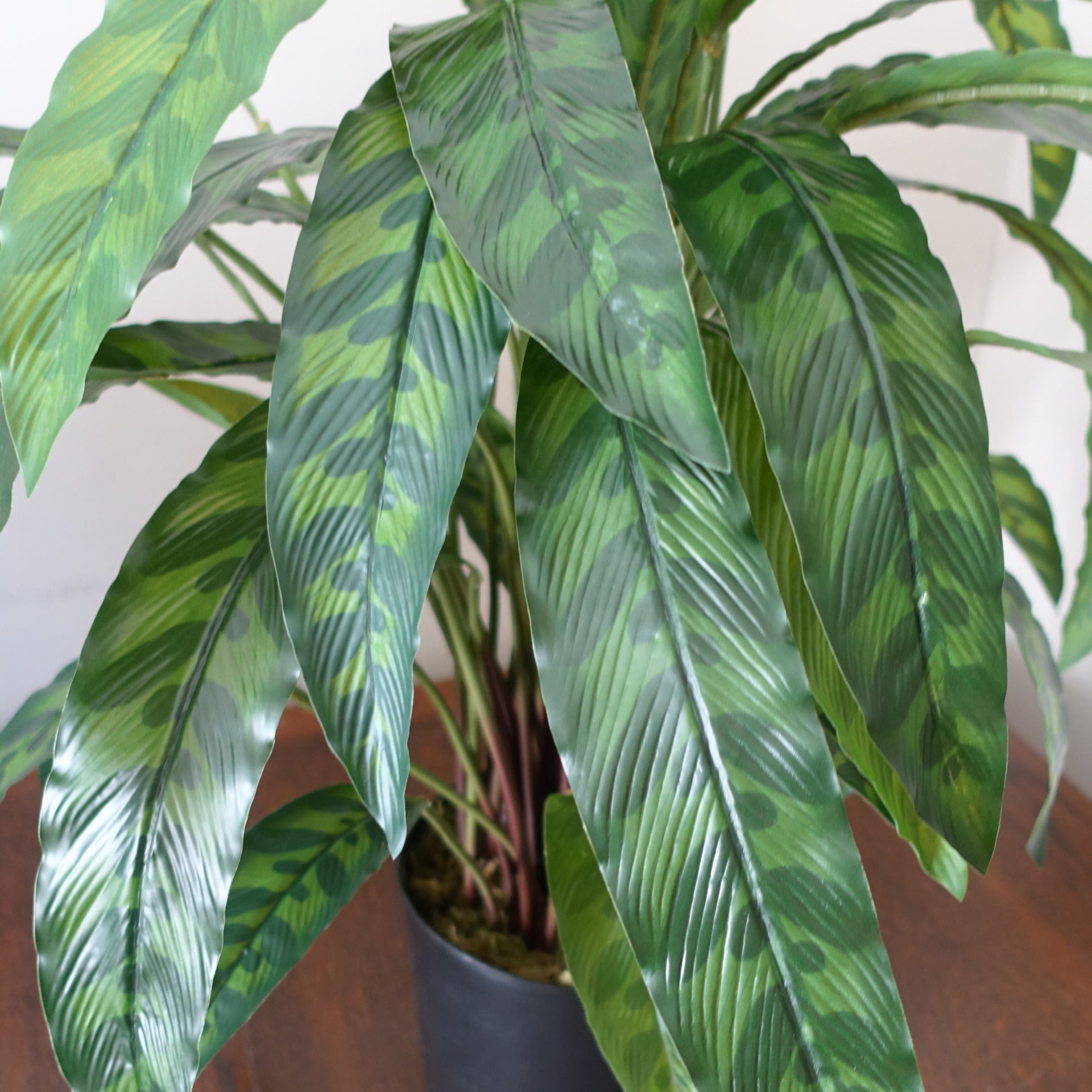 60cm Variegated Artificial Calathea Plant