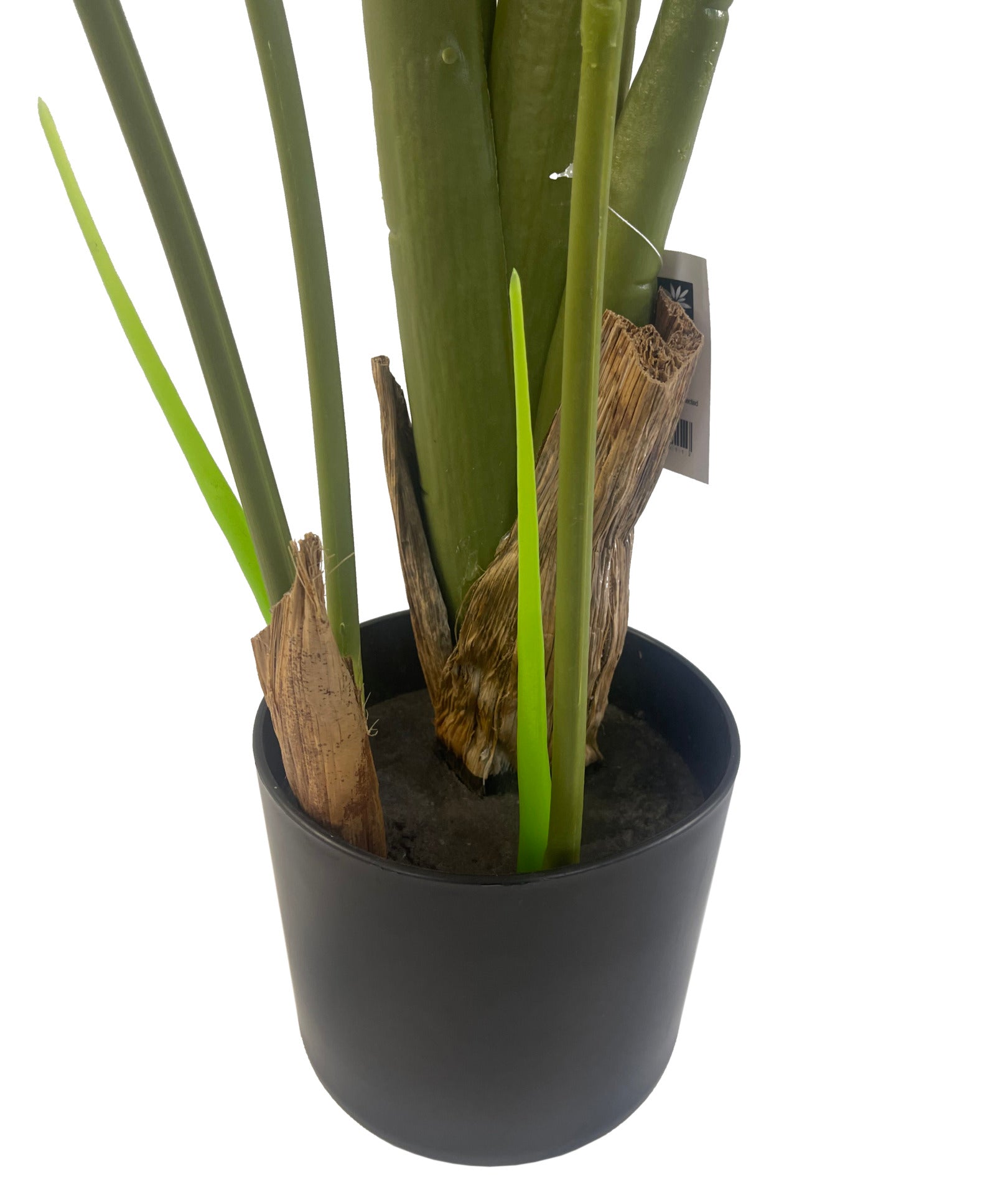 120cm UV Resistant Traveller Banana Palm Tree