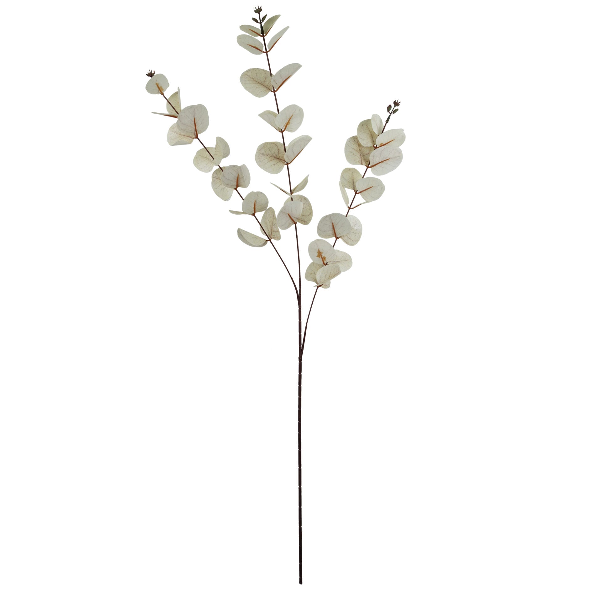Faux Artificial Eucalyptus Foliage Stems