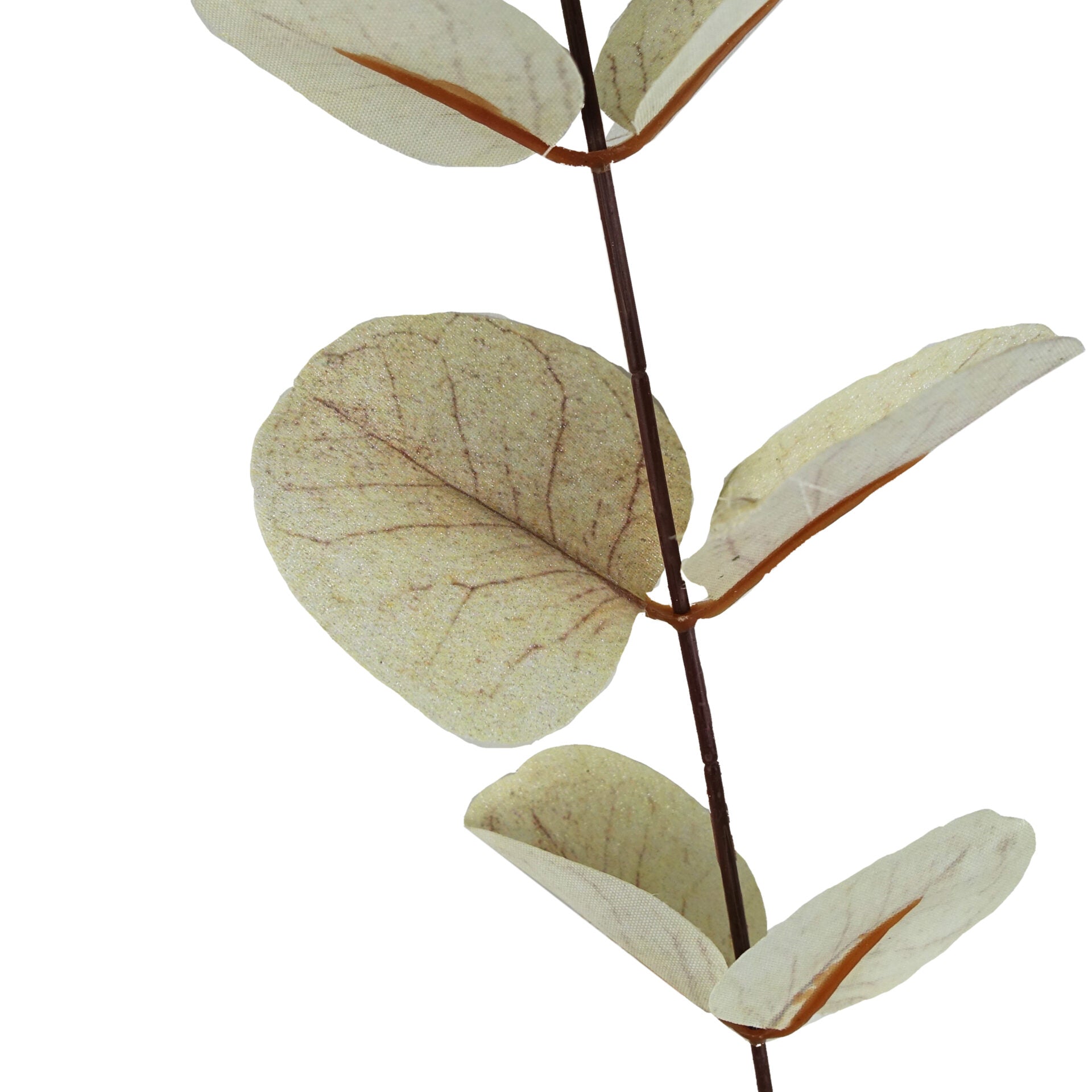 Faux Artificial Eucalyptus Foliage Stems