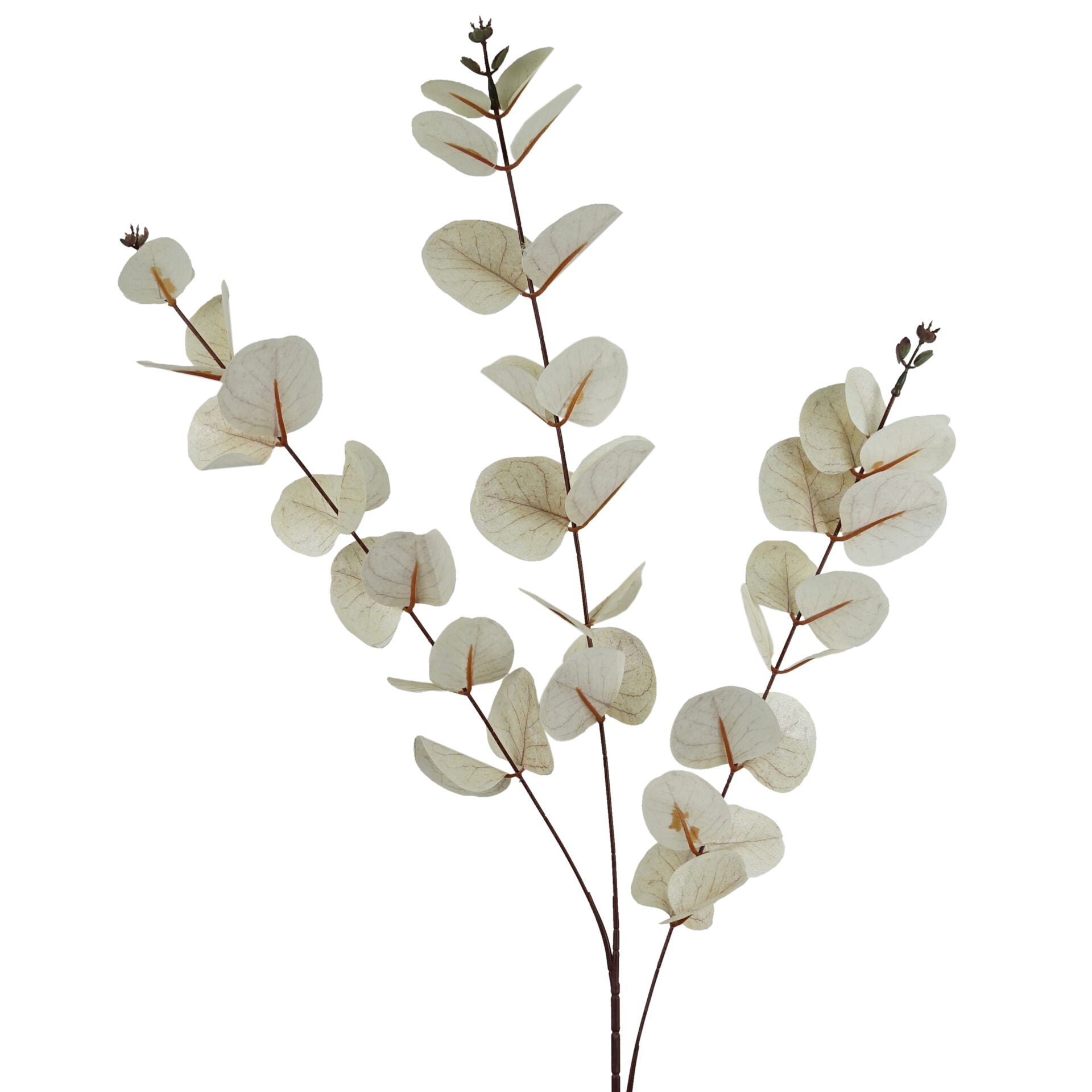 Faux Artificial Eucalyptus Foliage Stems
