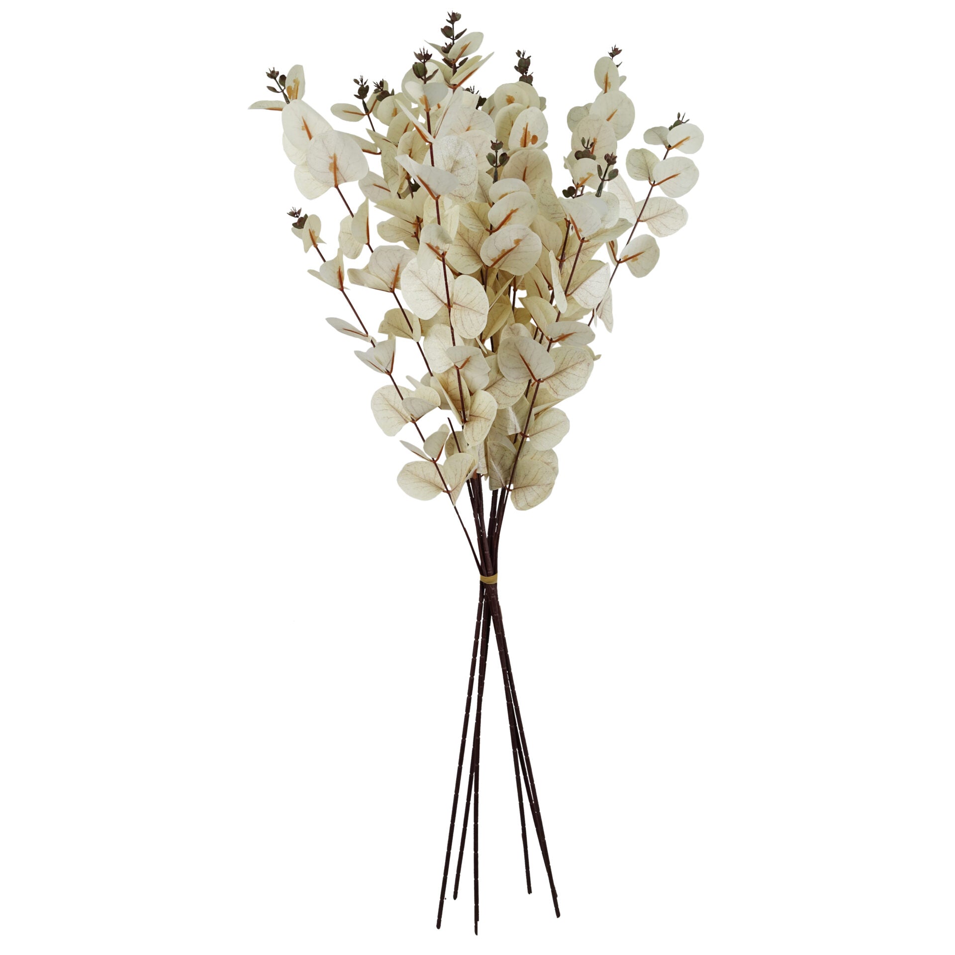Faux Artificial Eucalyptus Foliage Stems