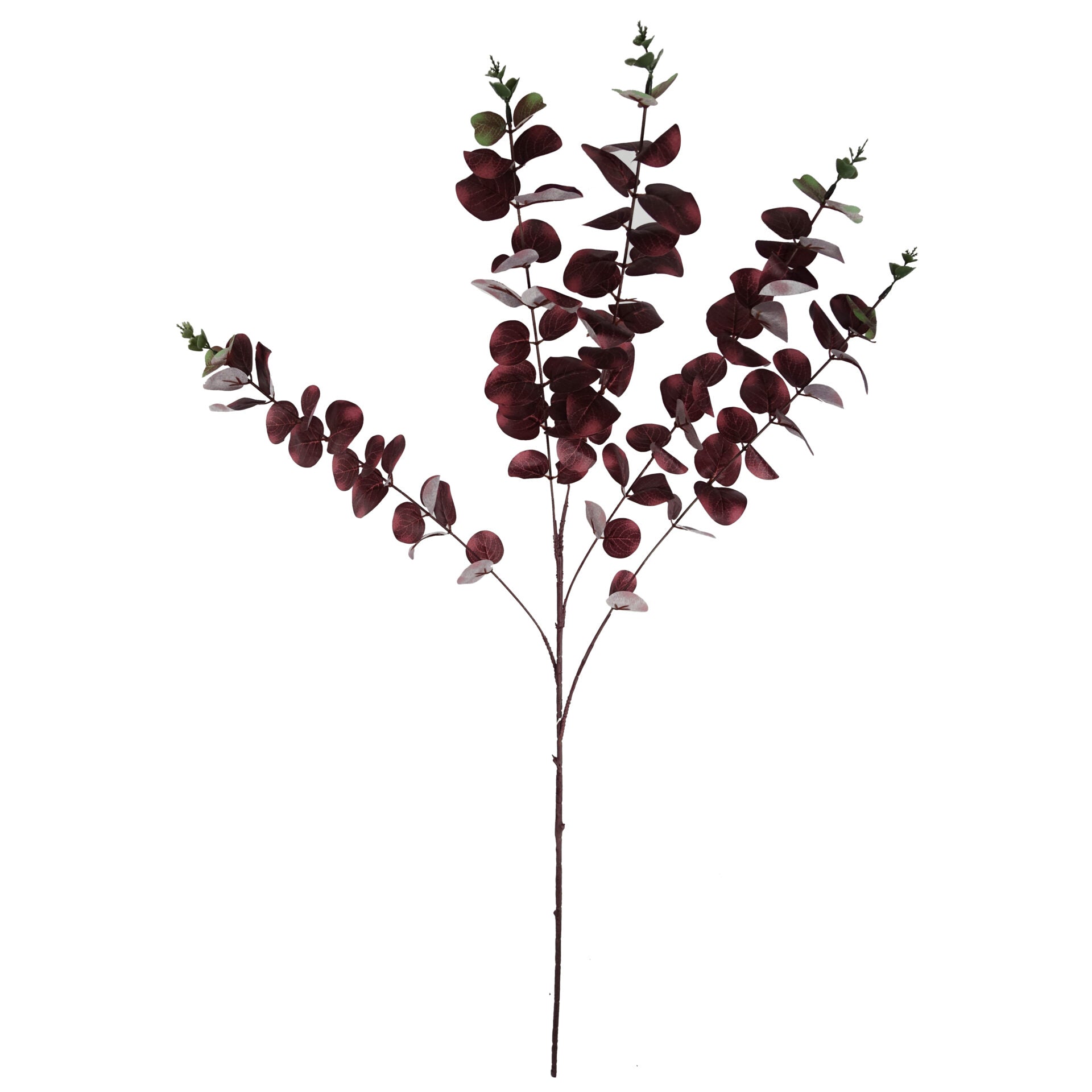 Faux Artificial Eucalyptus Foliage Stems