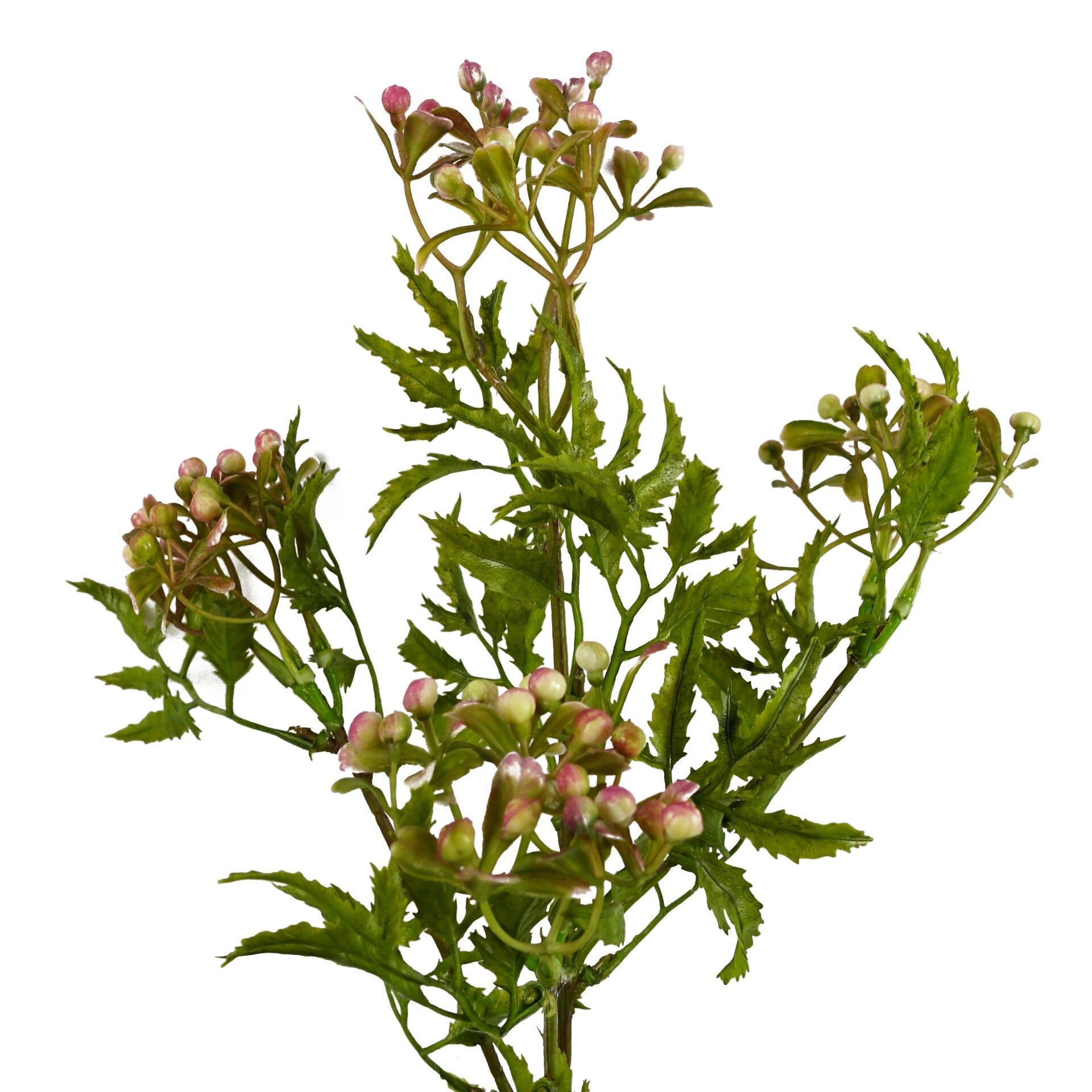 55cm Artificial Foliage Stem with Faux Berries