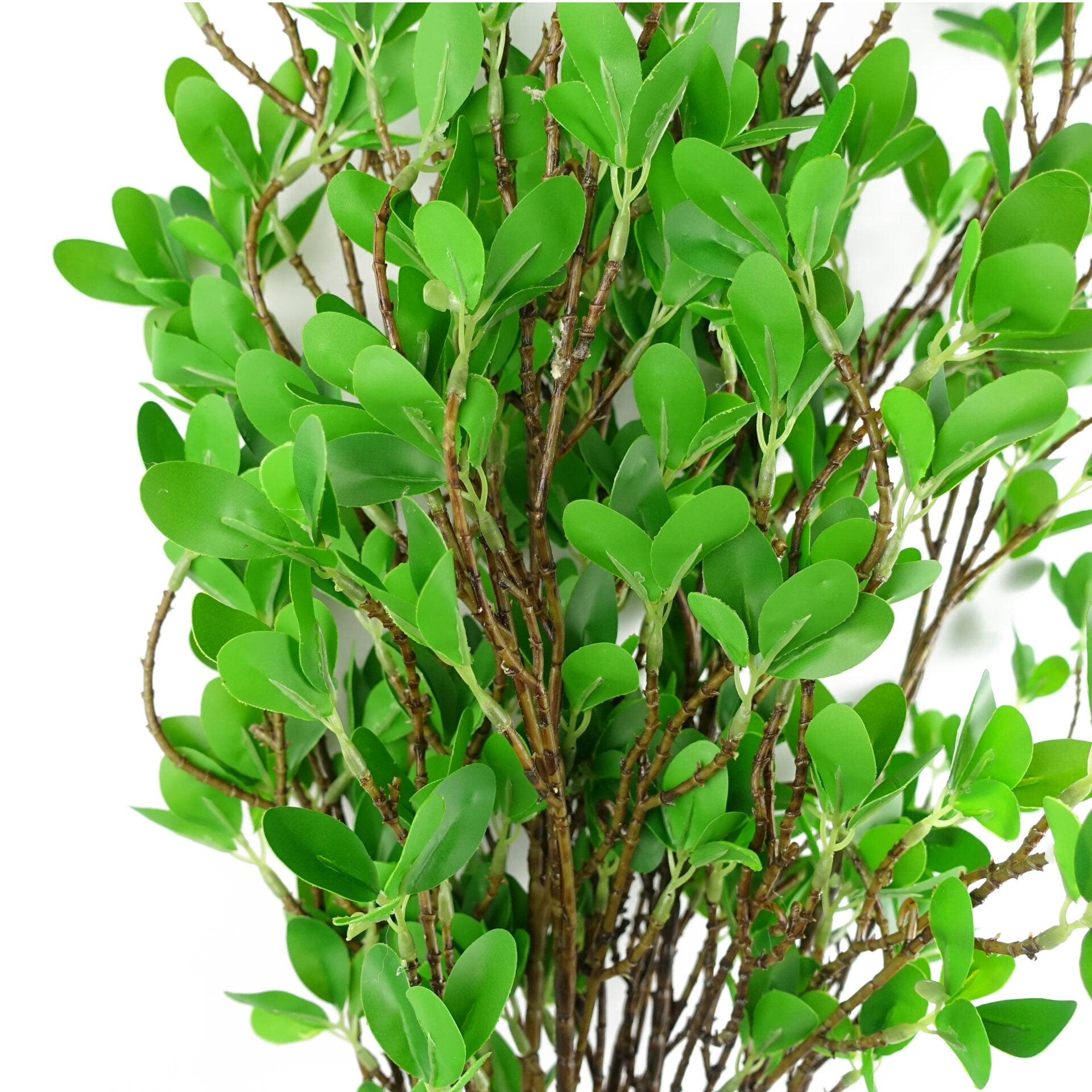 100cm Mini Leaf Ficus Stem