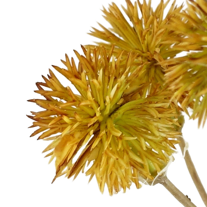 85cm Craspedia Stem Faux Artificial