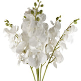 100cm Artificial Phalaenopsis Orchid Faux Stem