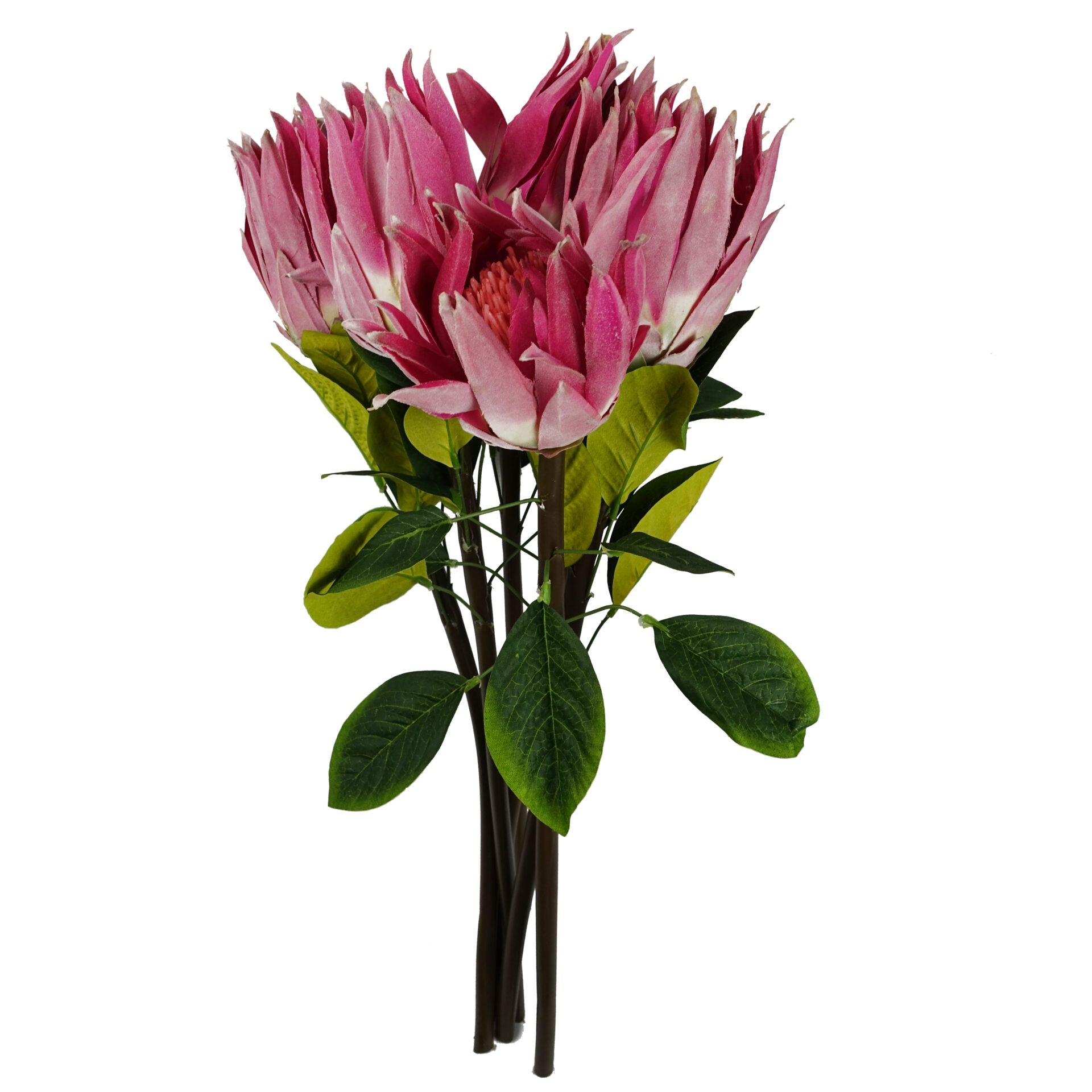 65cm Artificial Protea Sugarbush Flower Stem