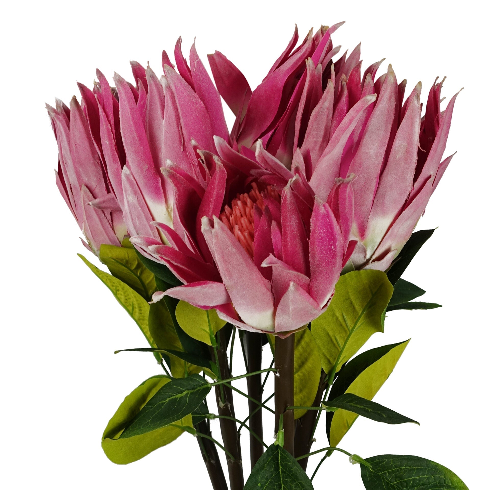 65cm Artificial Protea Sugarbush Flower Stem