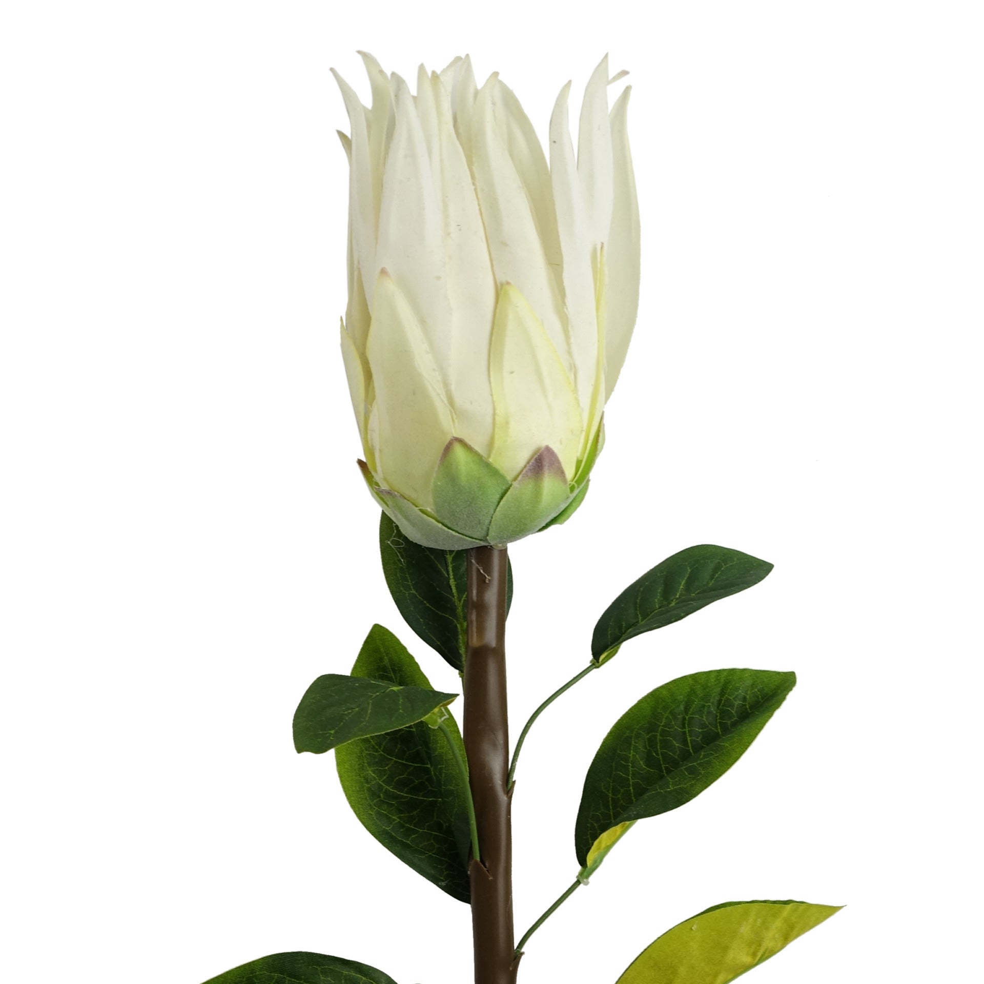 65cm Artificial Protea Sugarbush Flower Stem