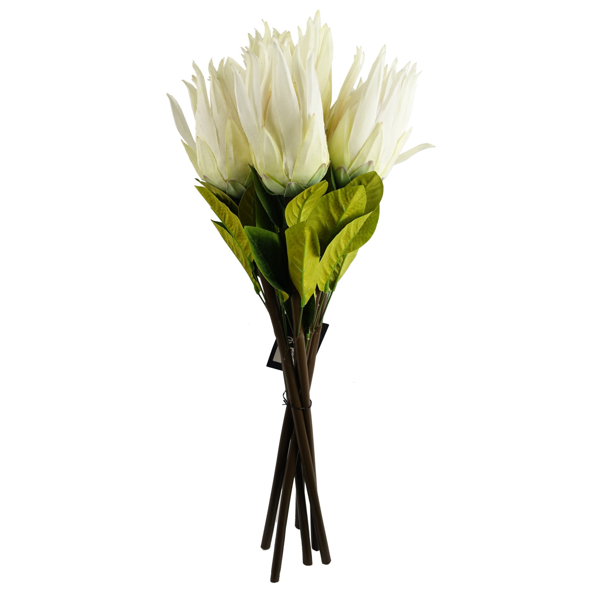 65cm Artificial Protea Sugarbush Flower Stem