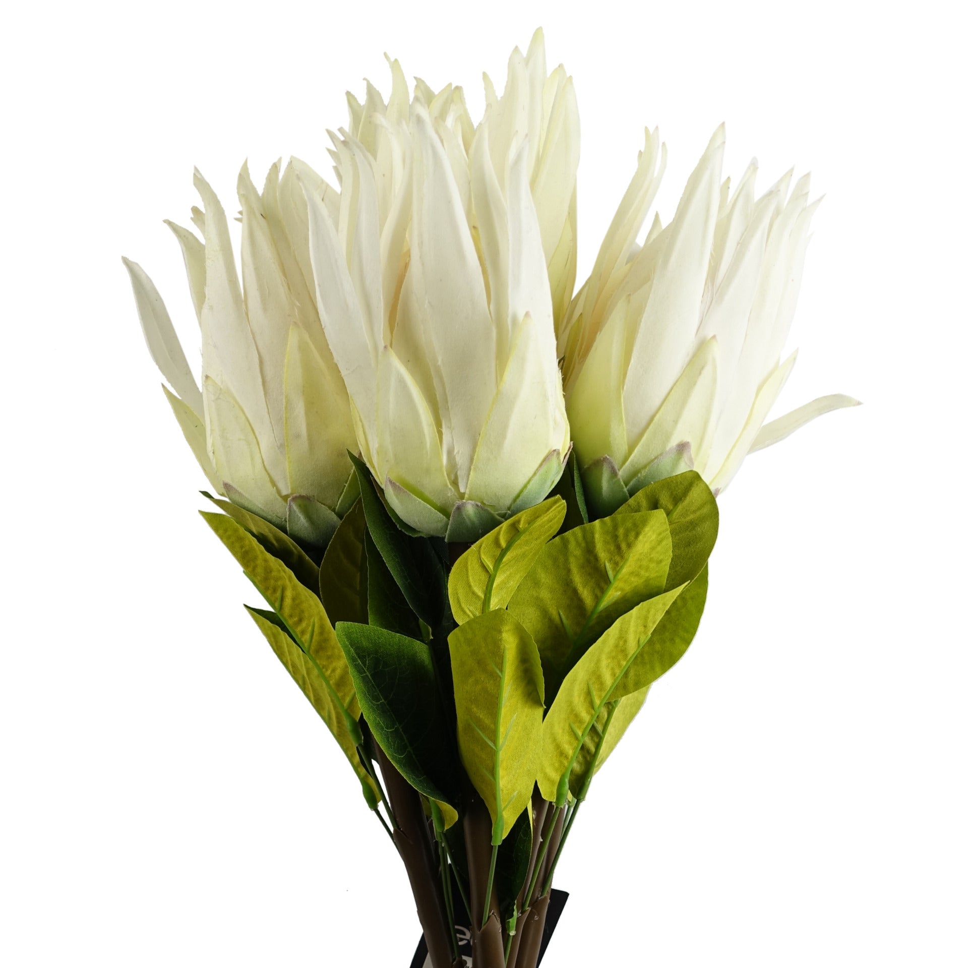 65cm Artificial Protea Sugarbush Flower Stem
