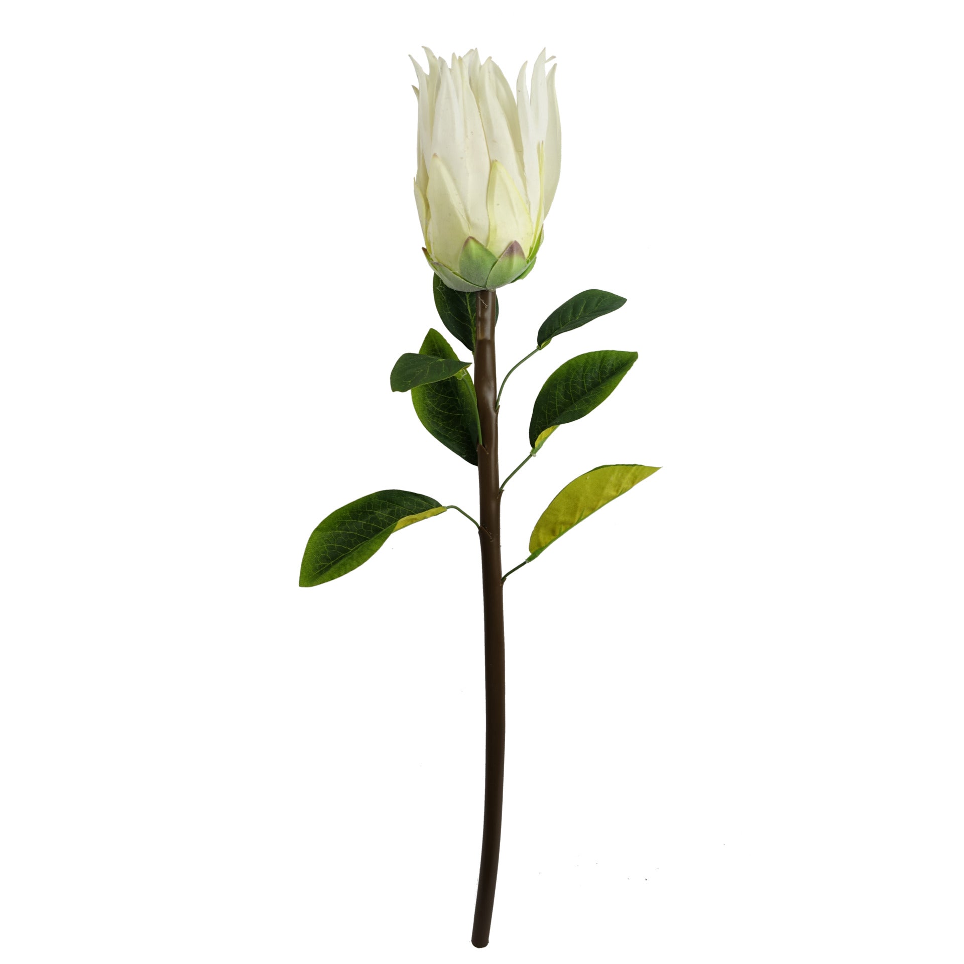 65cm Artificial Protea Sugarbush Flower Stem
