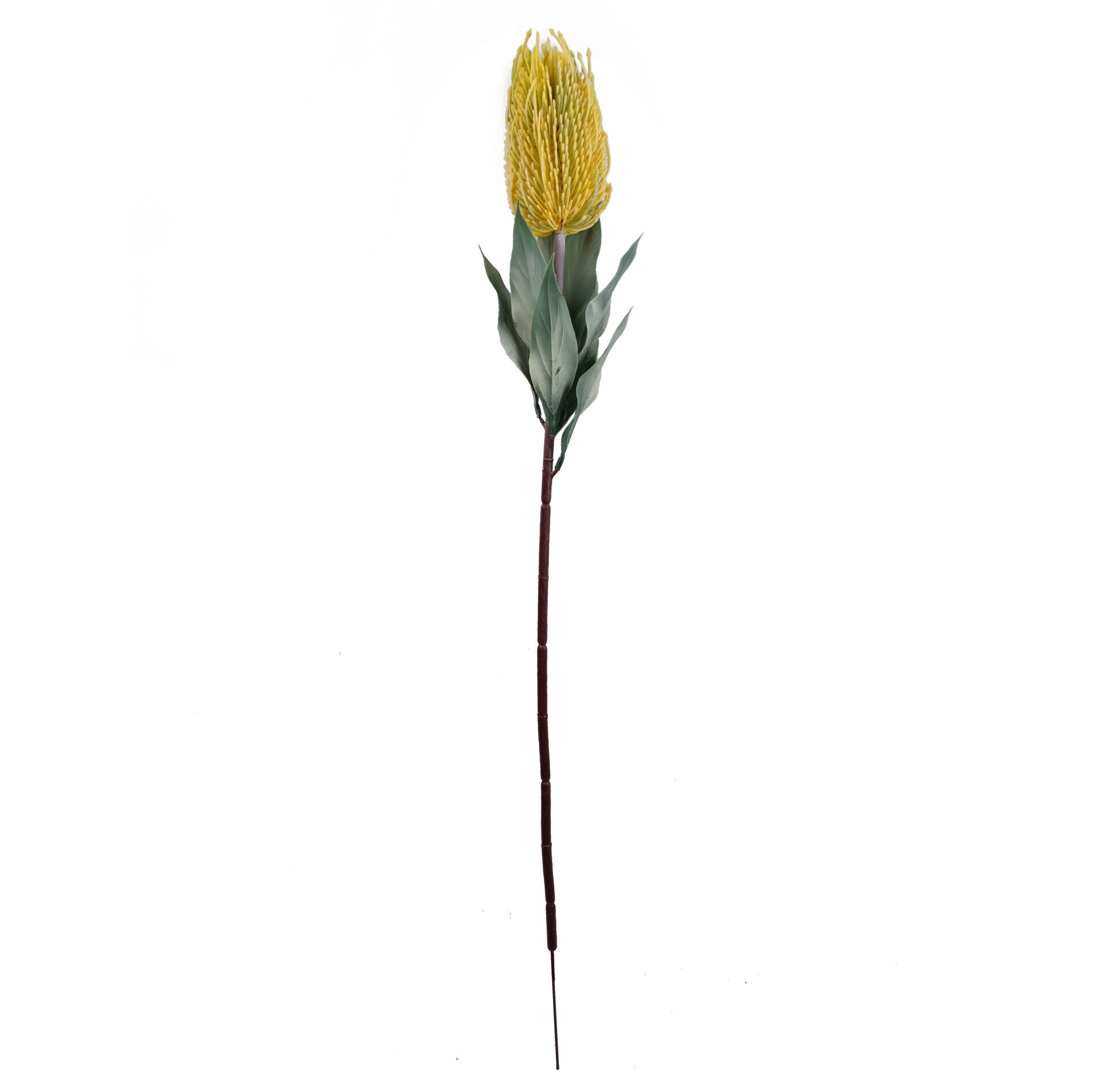 75cm Banksia Menziesii Faux Flower Stem Artificial