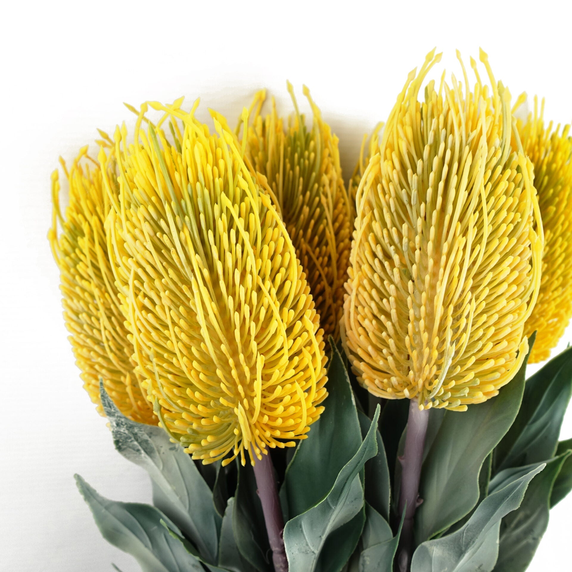 75cm Banksia Menziesii Faux Flower Stem Artificial