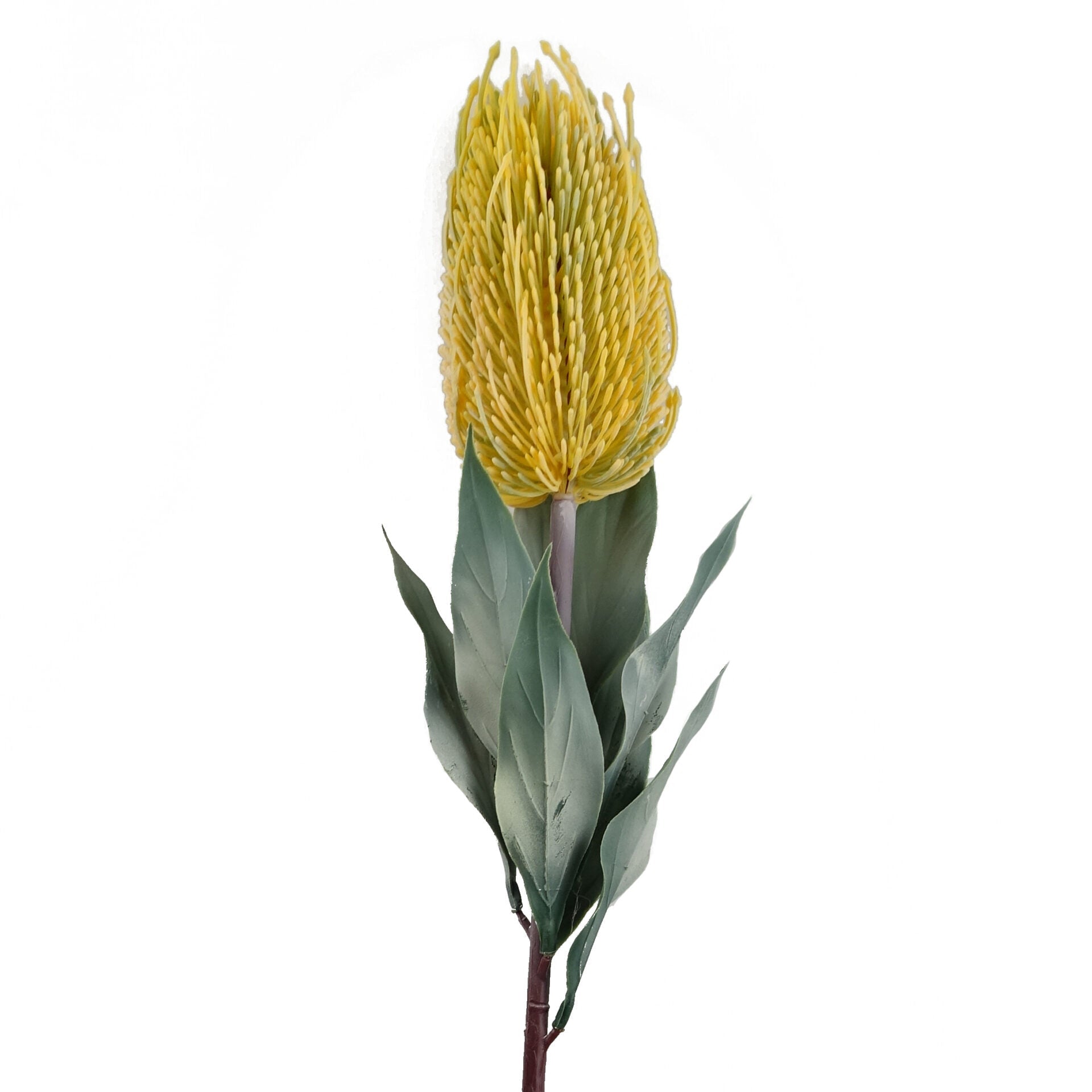 75cm Banksia Menziesii Faux Flower Stem Artificial