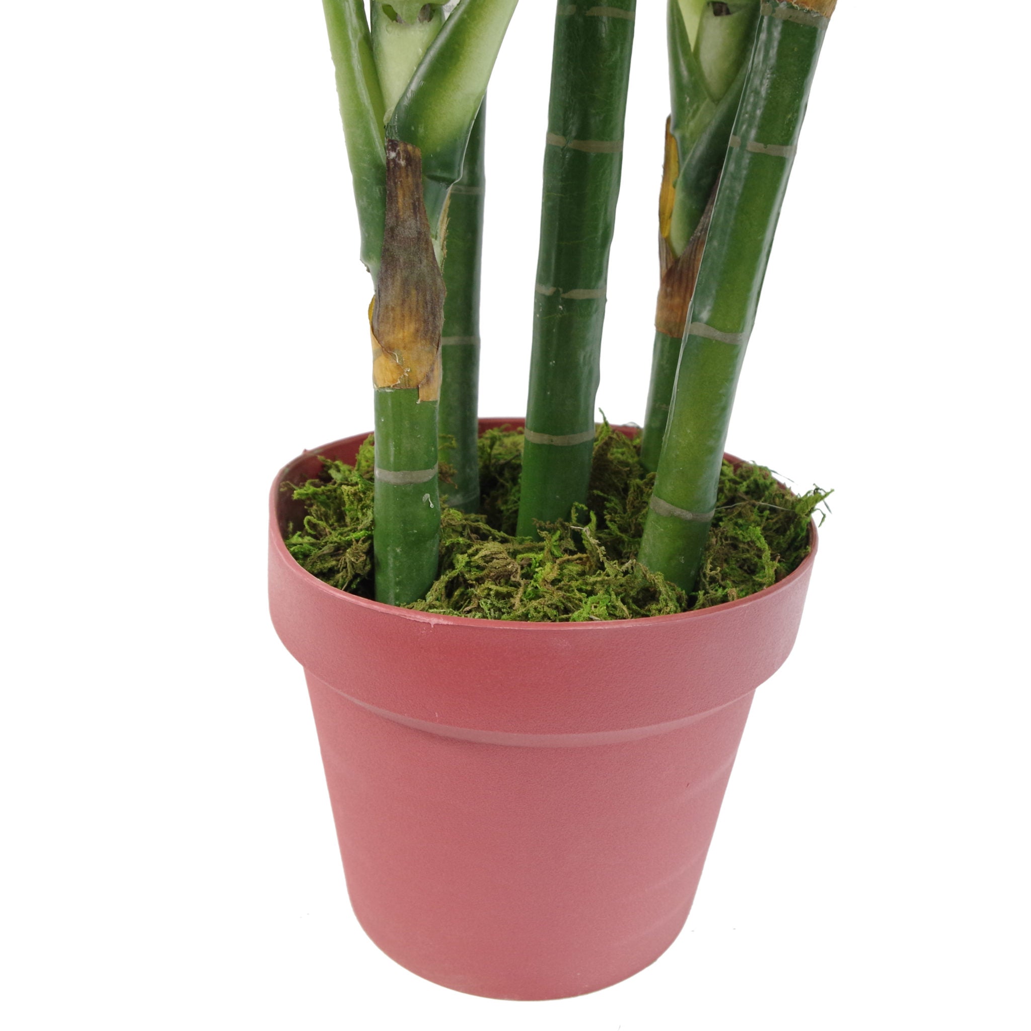 100cm Large Fox's Aglaonema (Spotted Evergreen) Tree Artificial Plant