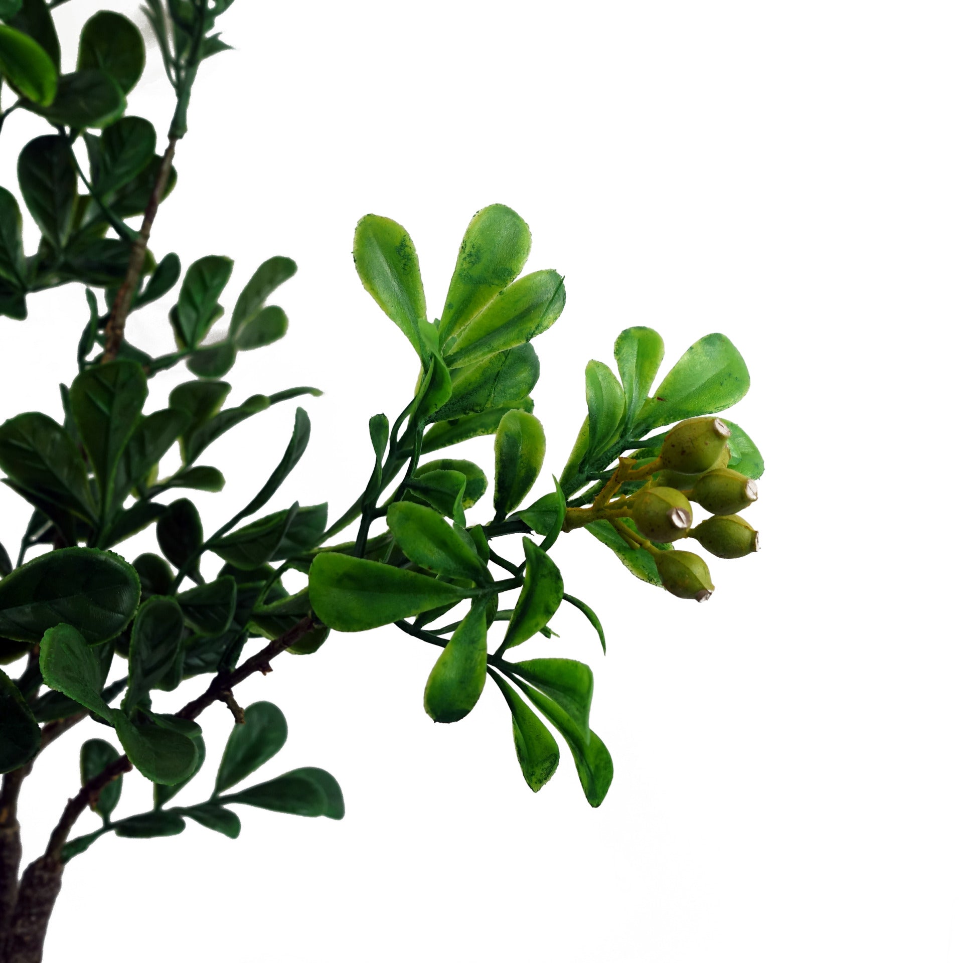 60cm künstlicher Aglaia Odorata Bonsai Ficus Baum