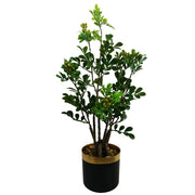 60cm künstlicher Aglaia Odorata Bonsai Ficus Baum