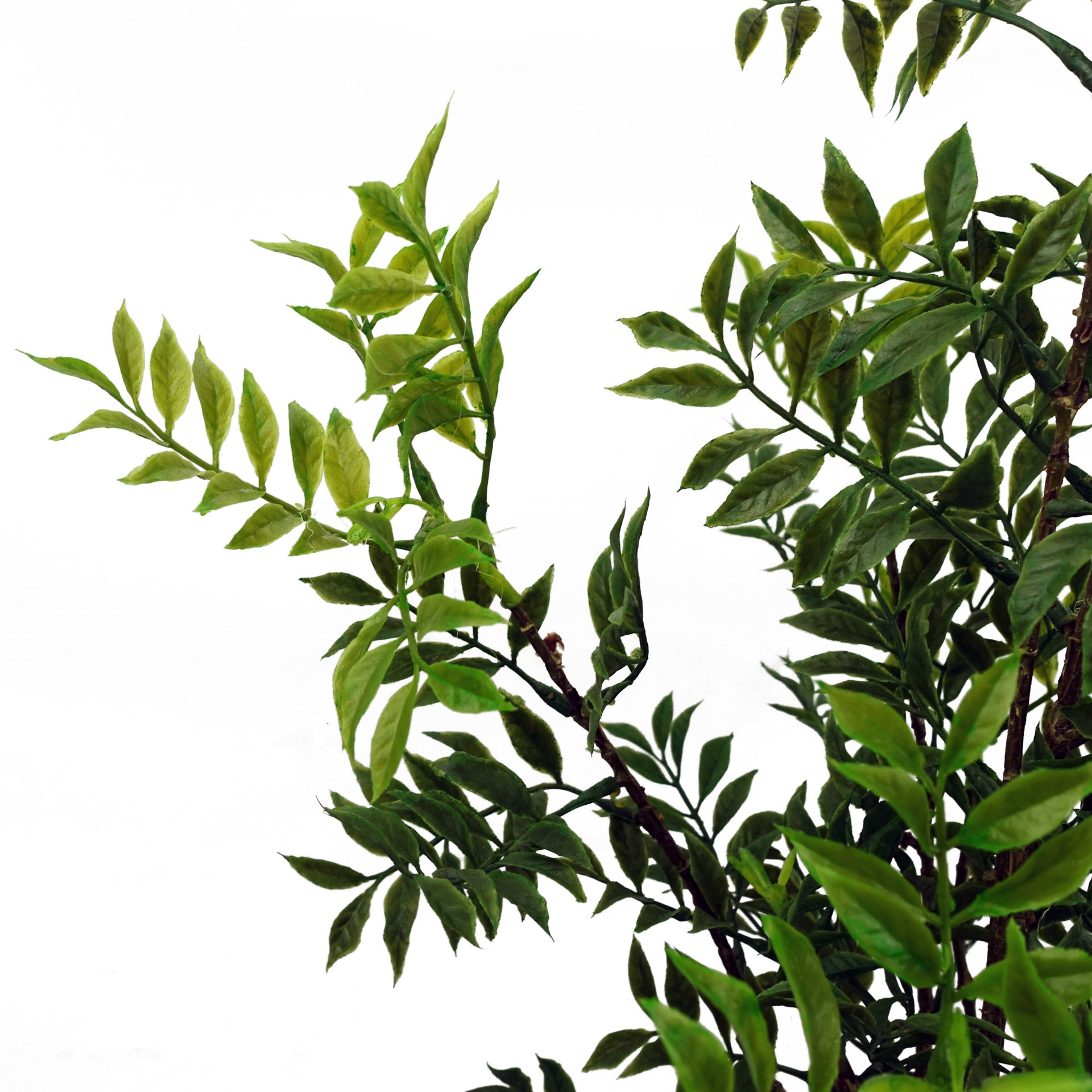60cm Künstlicher Nandina-Bonsai-Ficus-Baum