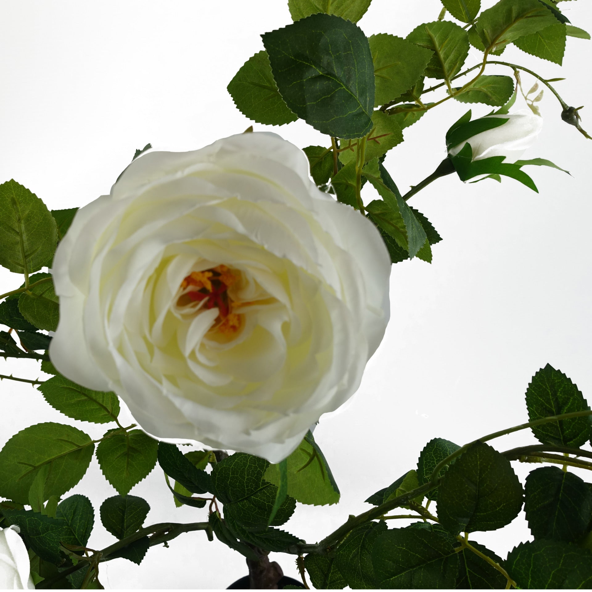 Camélia blanc Rose Artificielle 70cm